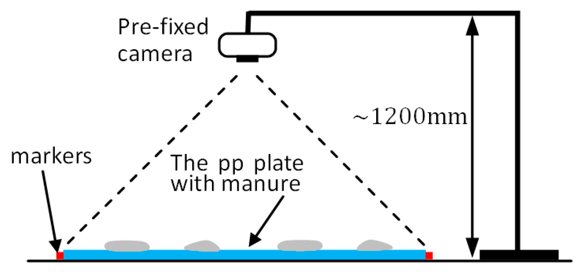 Animals 11 02433 g002 Animals 11 02433 g002