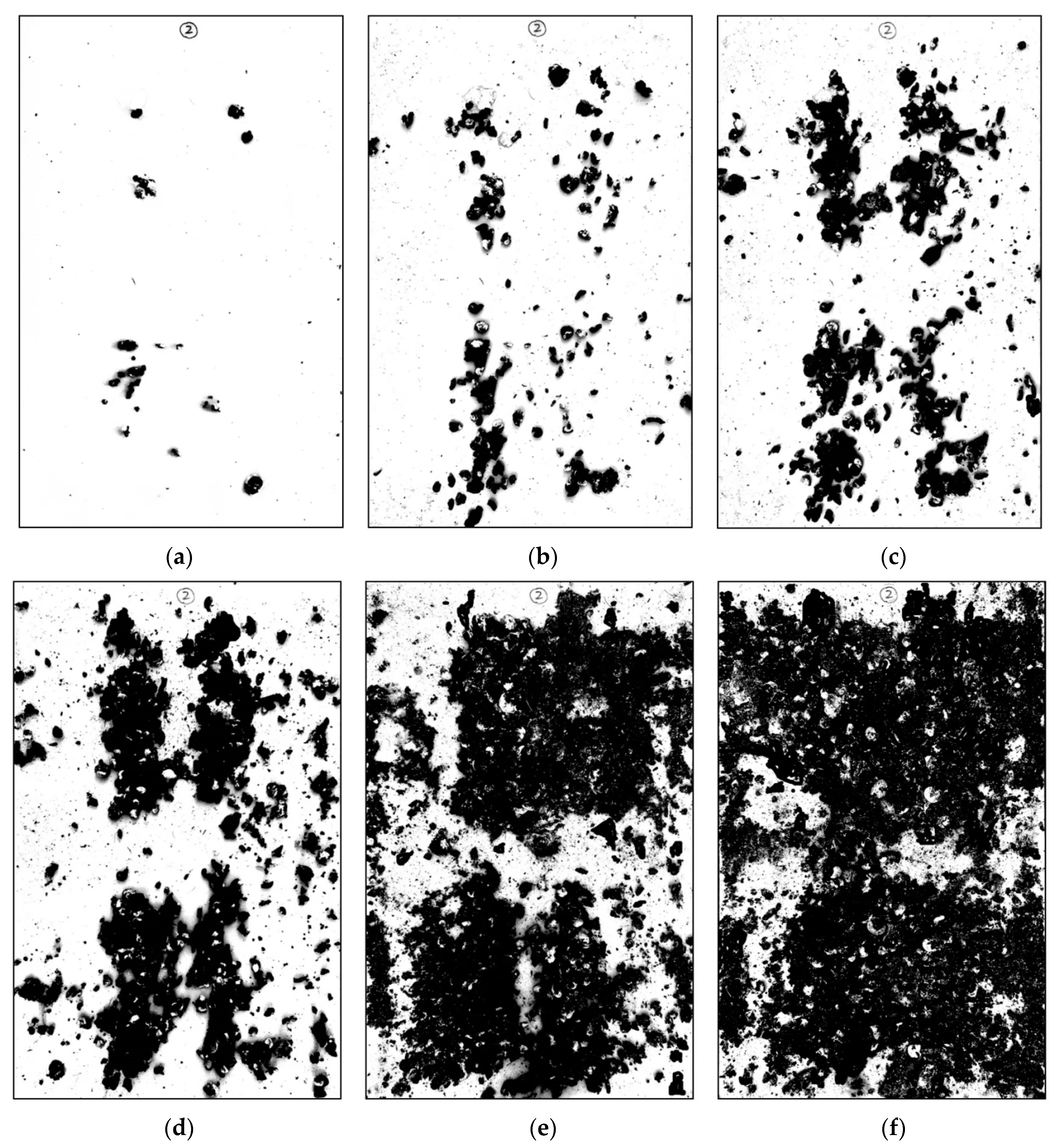 Animals 11 02433 g006 Animals 11 02433 g006