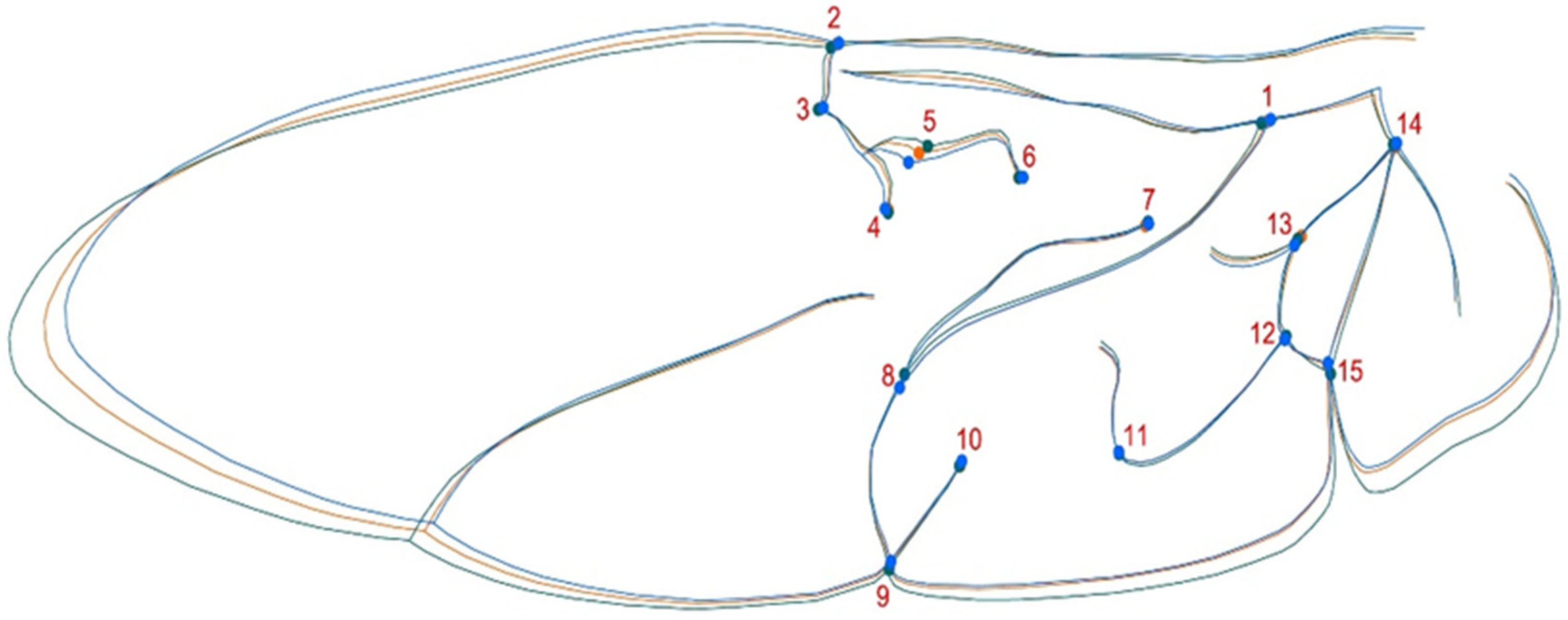 Animals 11 02436 g002 Animals 11 02436 g002