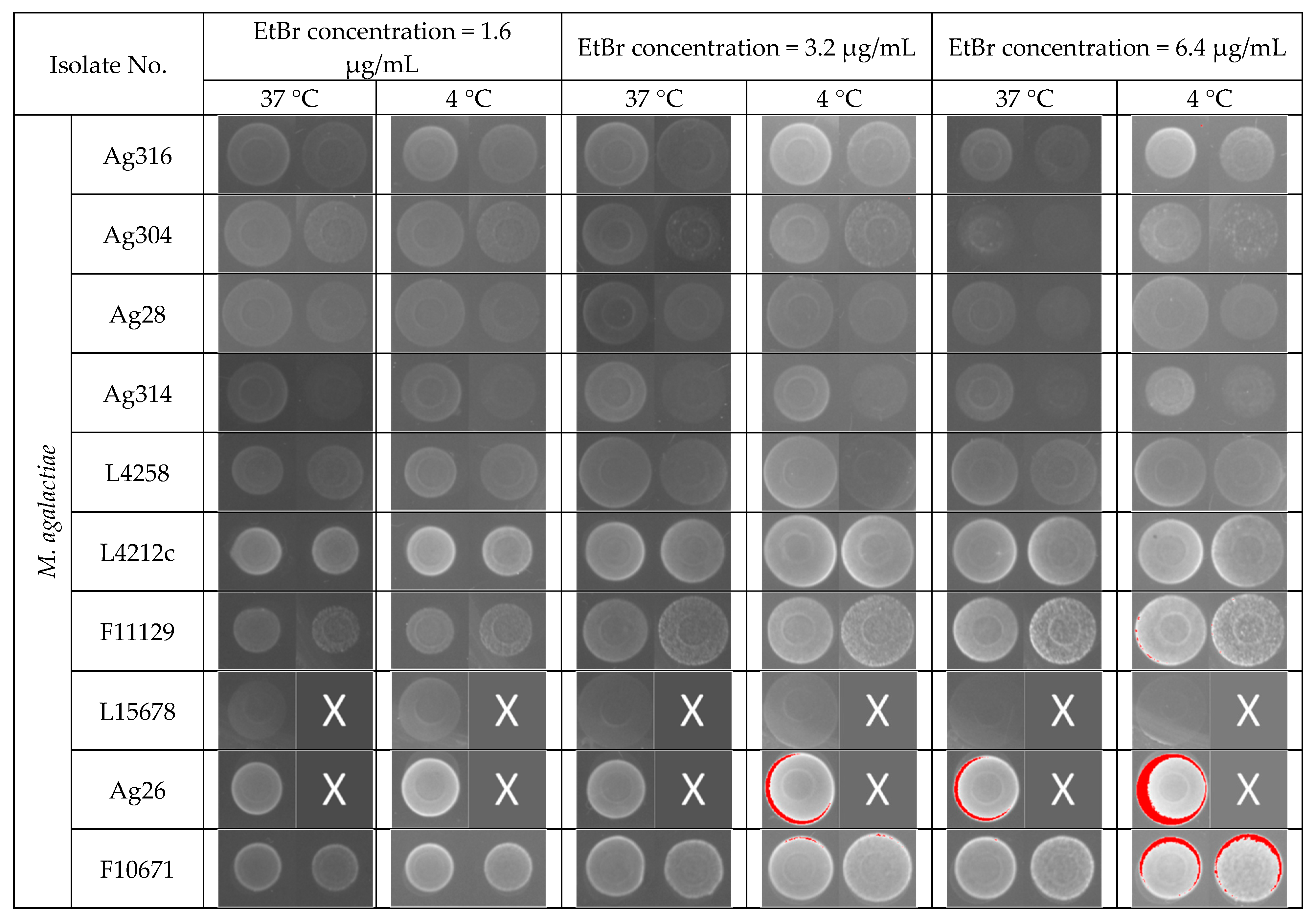 Animals 11 02449 g001a