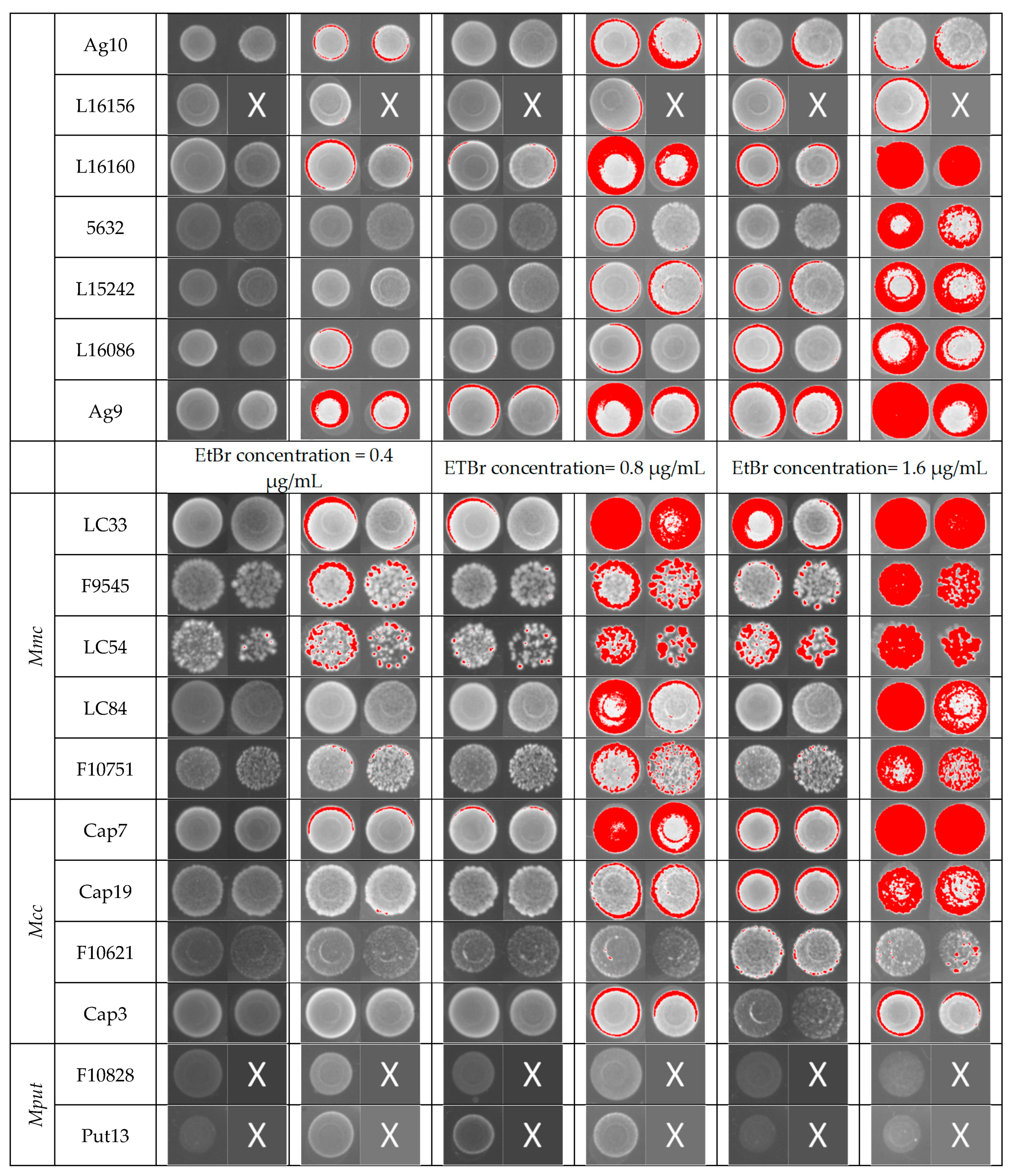 Animals 11 02449 g001b