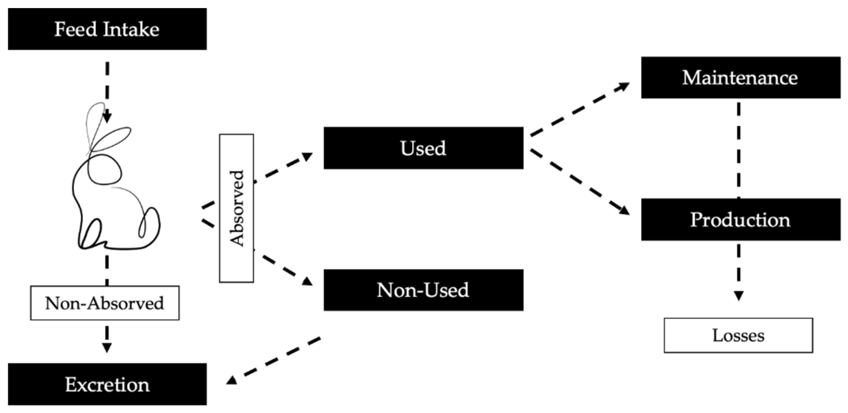 Animals 11 02453 g001