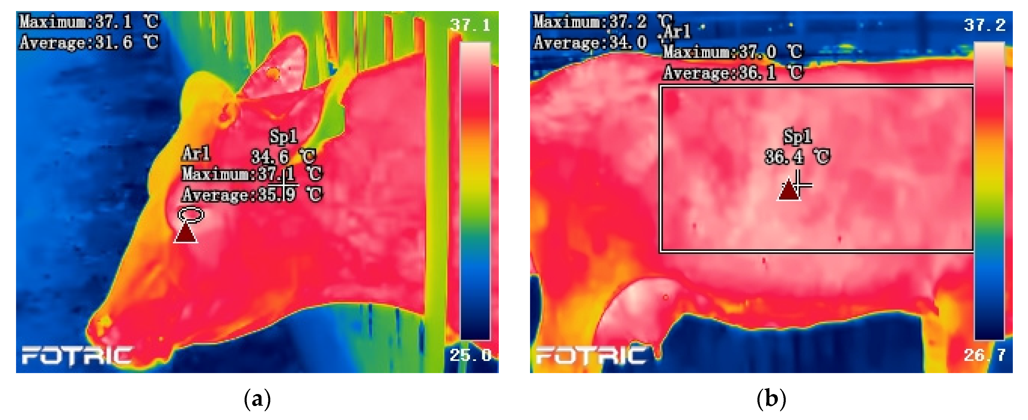 Animals 11 02459 g002 550