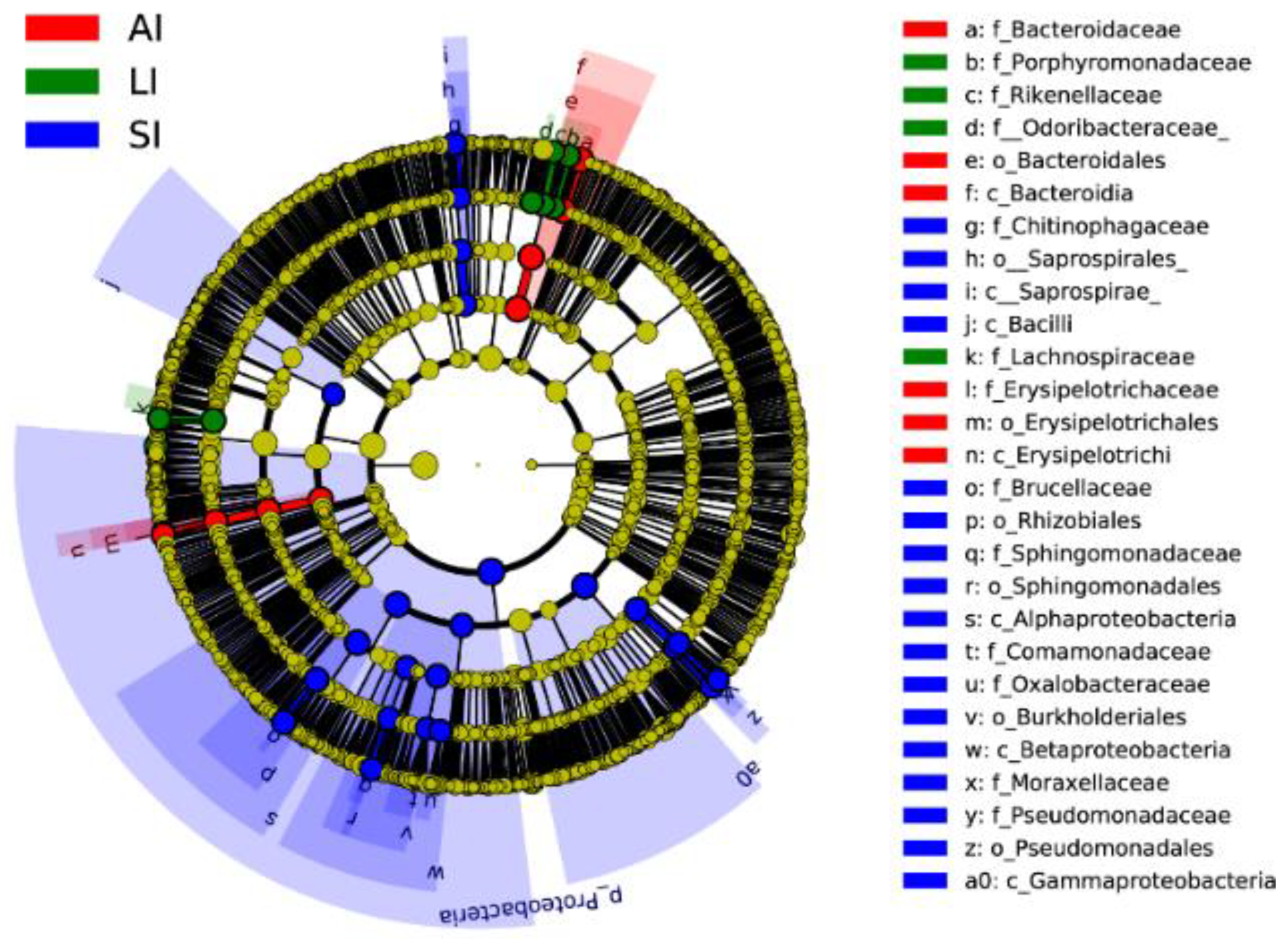 Animals Free Full Text Environment Dependent Variation In Gut Microbiota Of An Oviparous Lizard Calotes Versicolor Html Animals Free Full Text Environment Dependent Variation In Gut Microbiota Of An Oviparous Lizard Calotes Versicolor Html