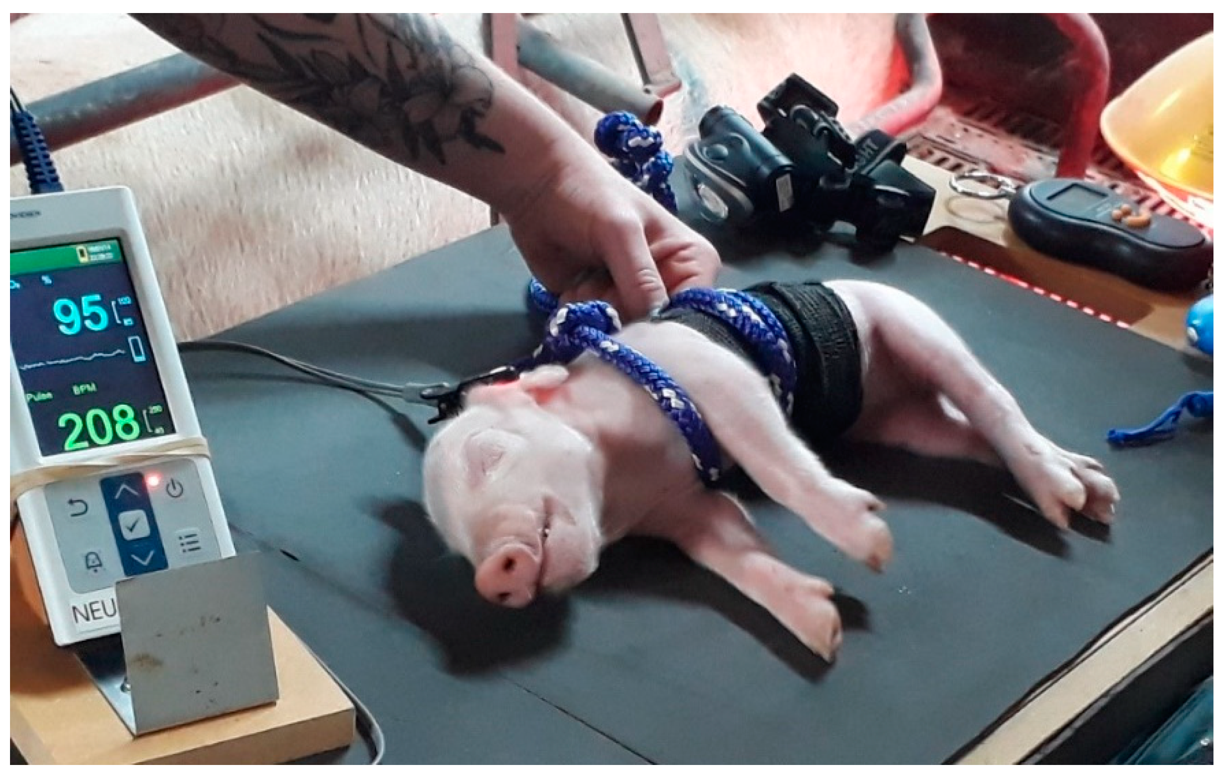 Animals 11 02465 g001