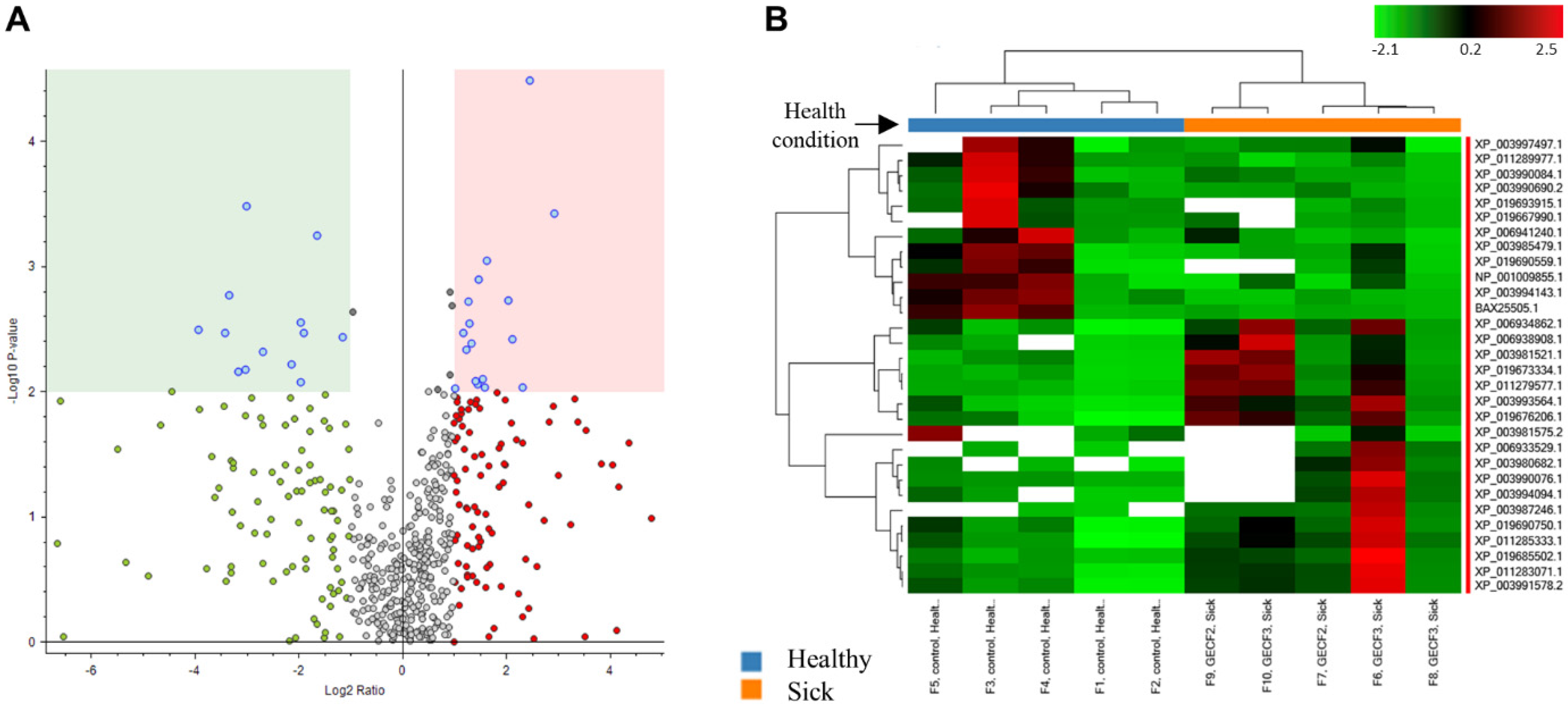 Animals 11 02466 g003