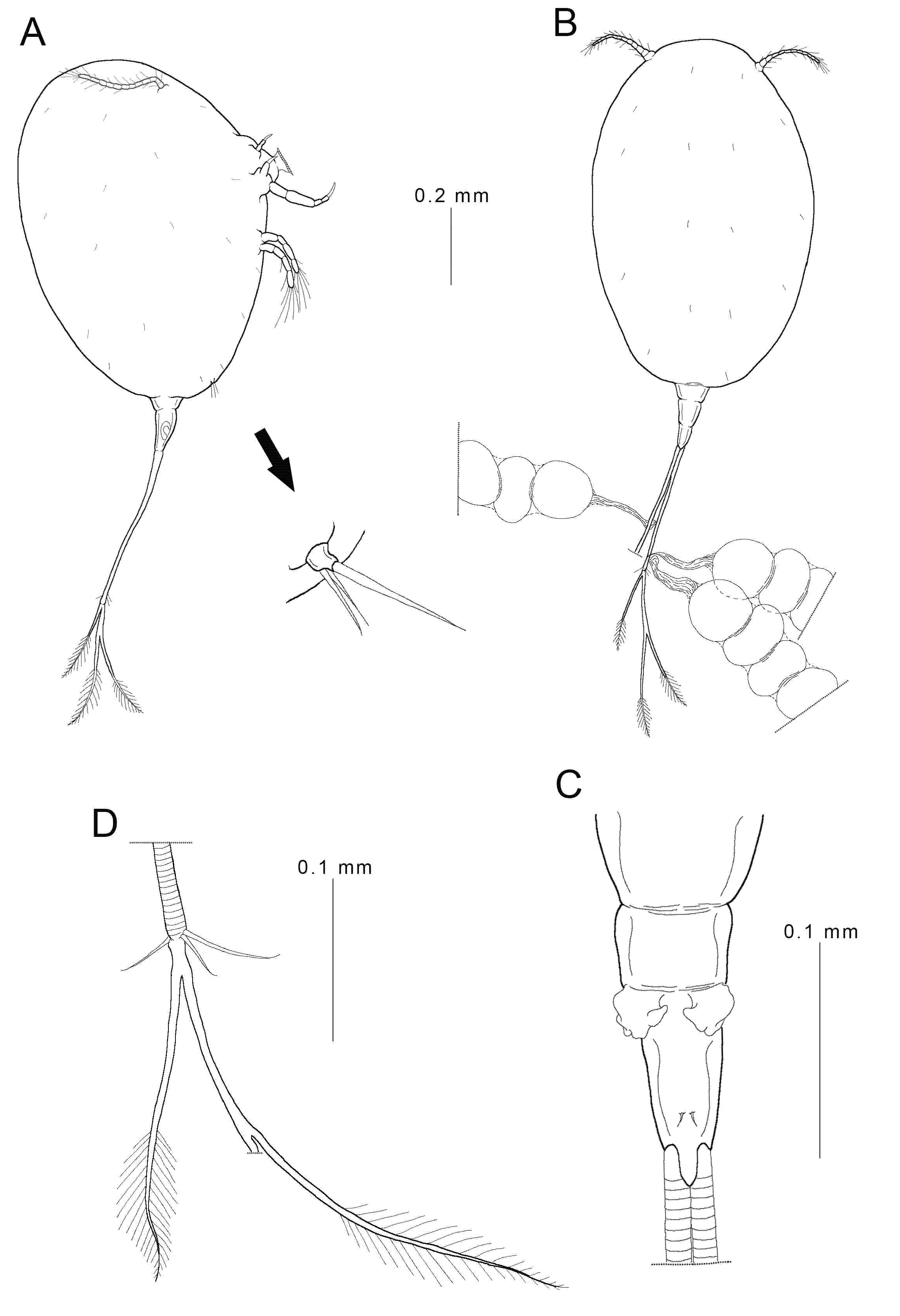 Animals 11 02475 g002
