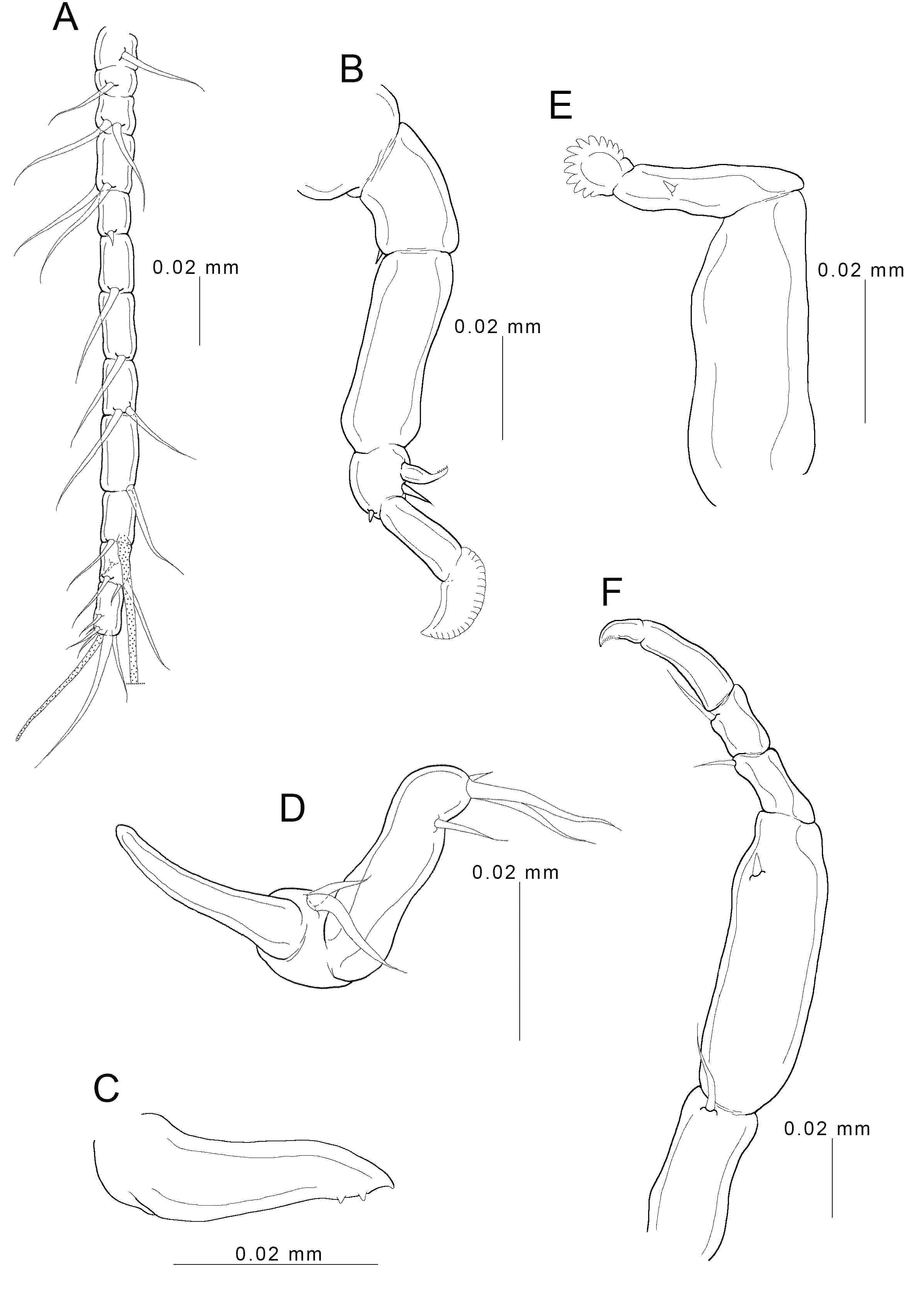 Animals 11 02475 g003