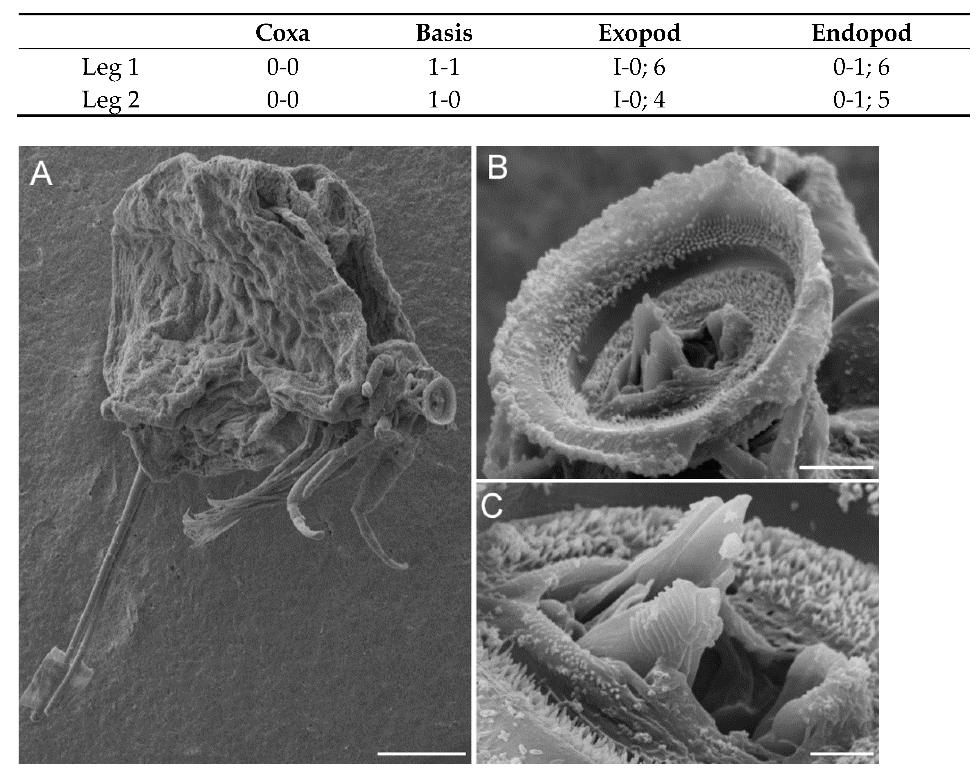 Animals 11 02475 g004