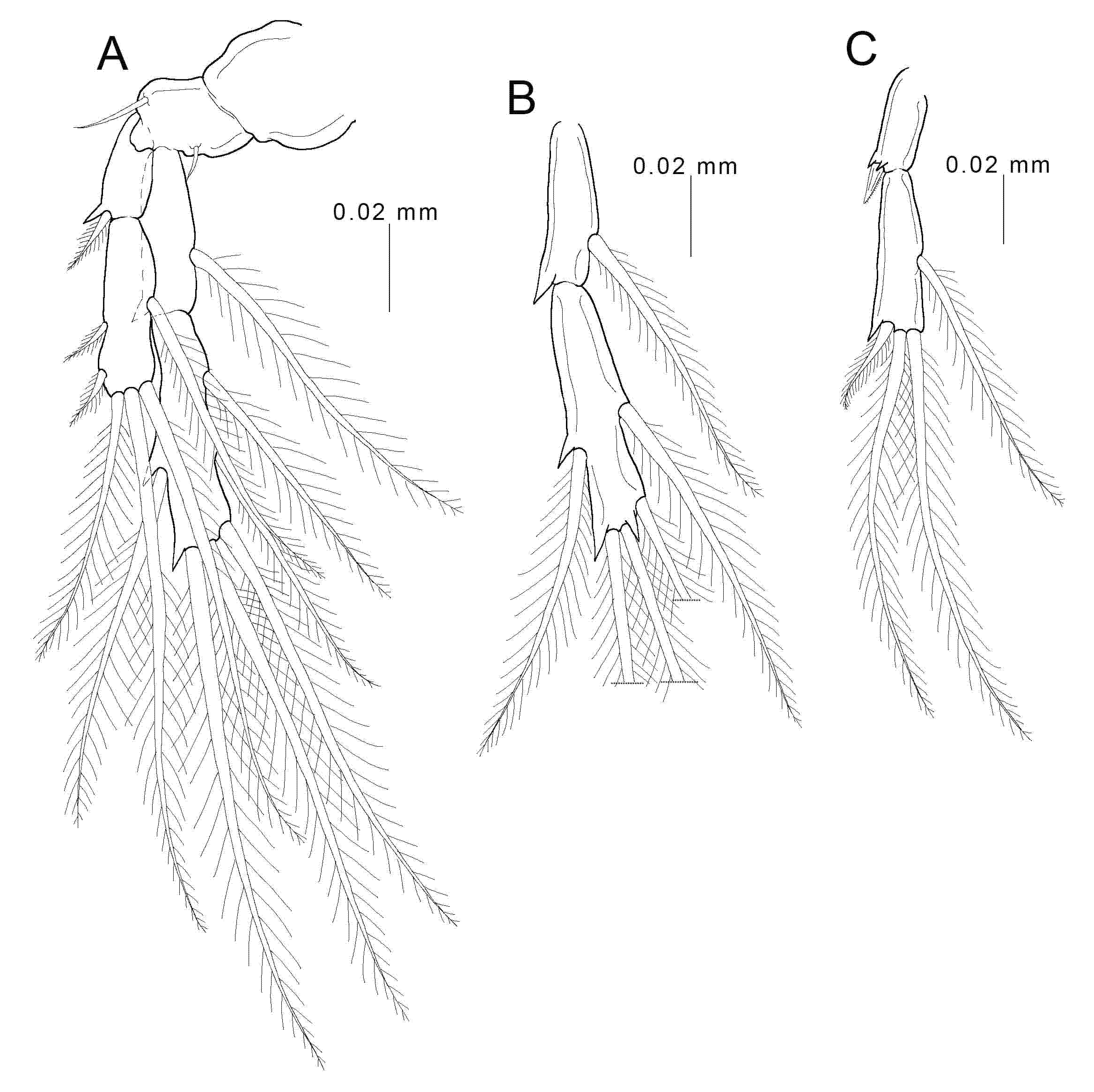 Animals 11 02475 g005