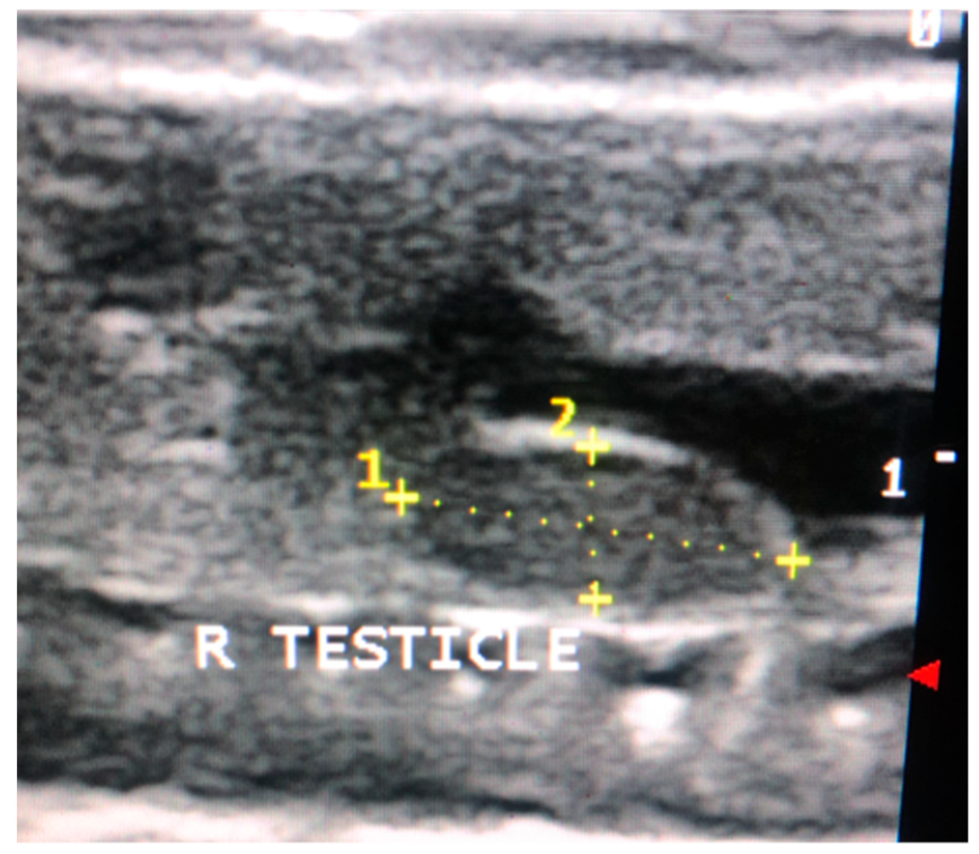 Animals 11 02477 g002 550