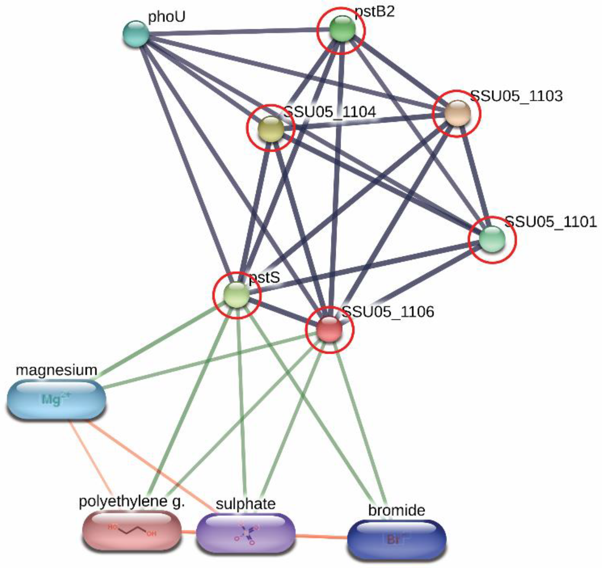 Animals 11 02480 g002