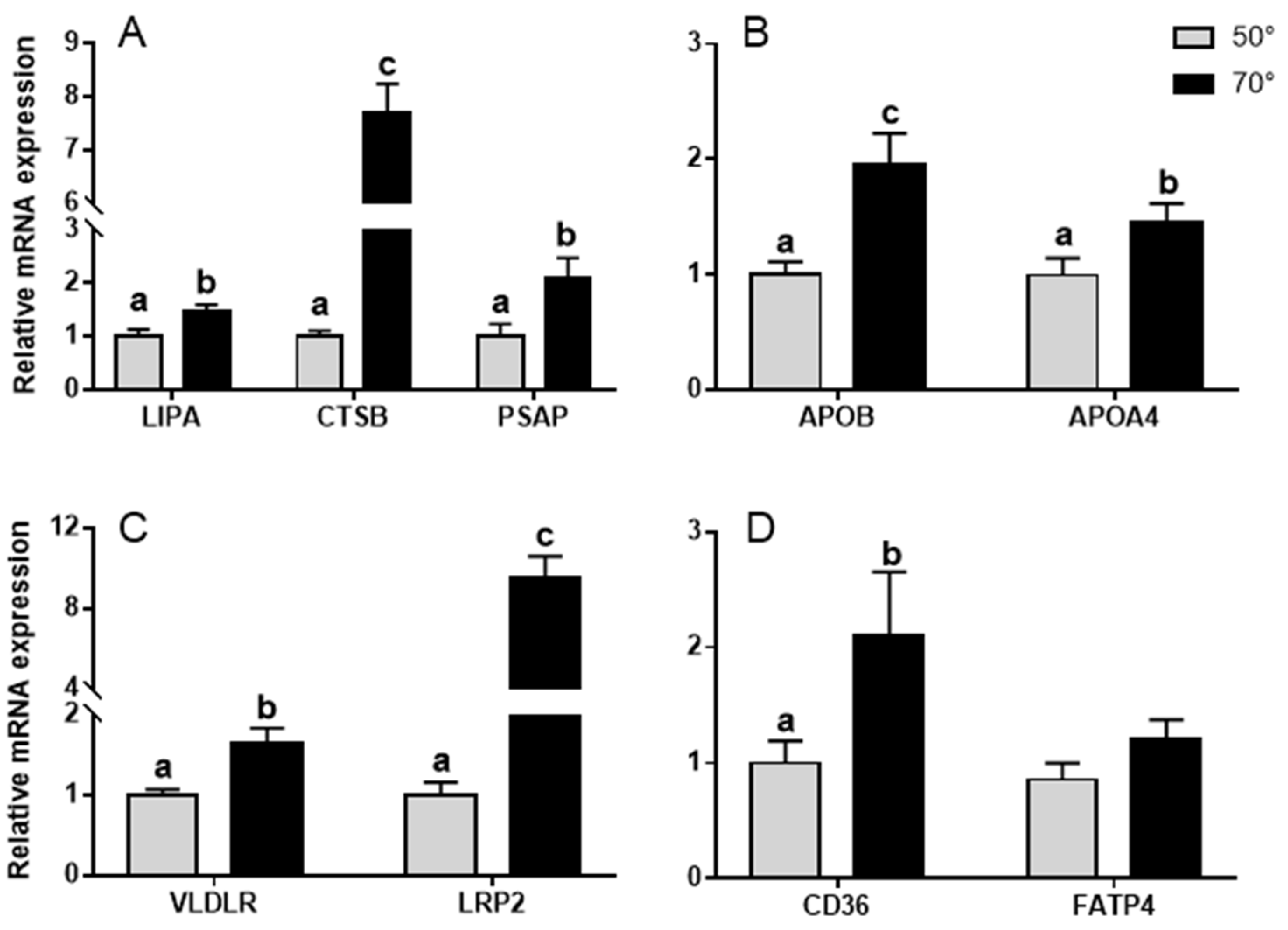 Animals 11 02485 g004 550