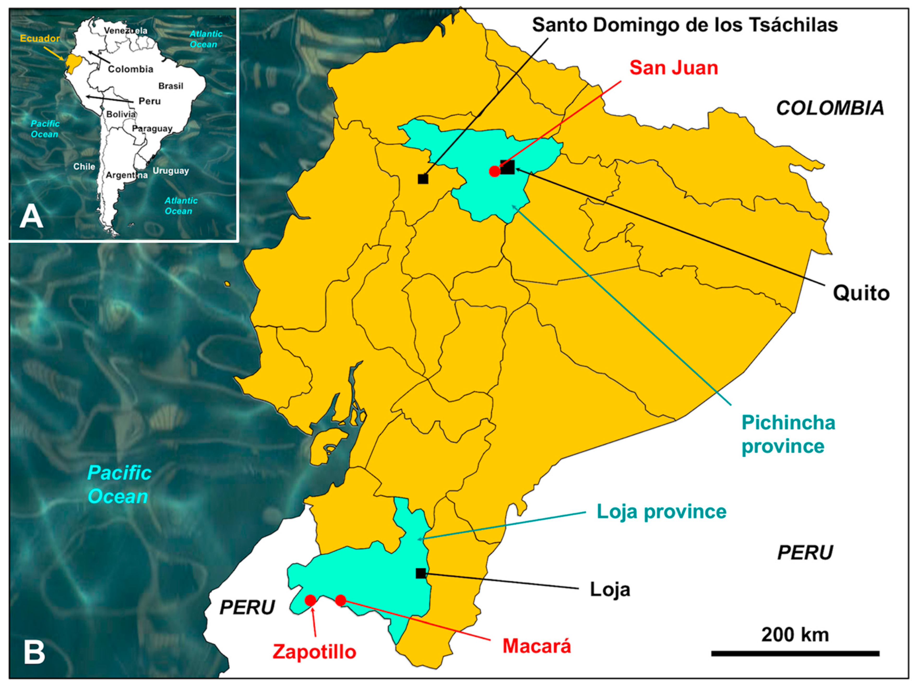 Animals 11 02495 g001