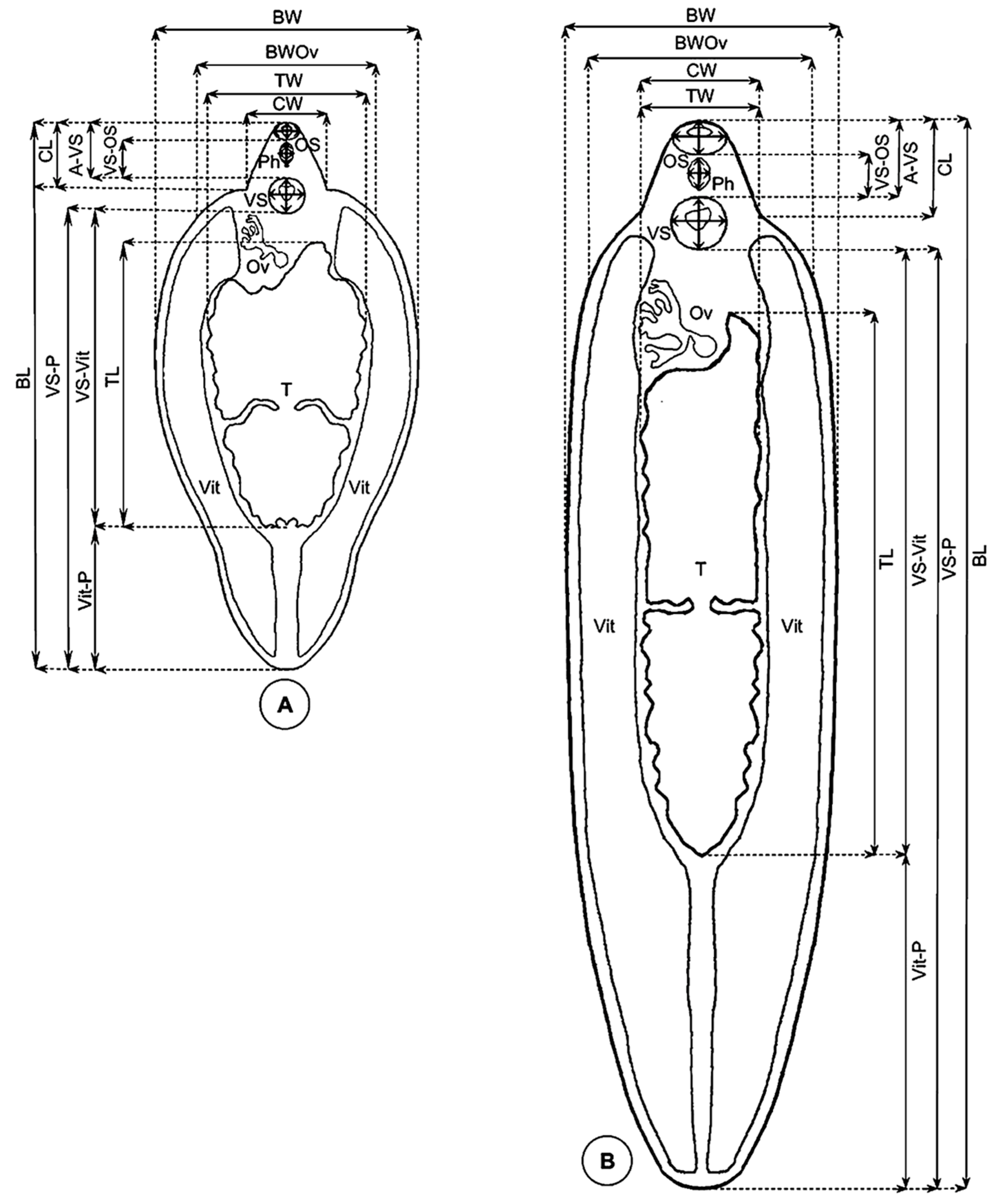Animals 11 02495 g002