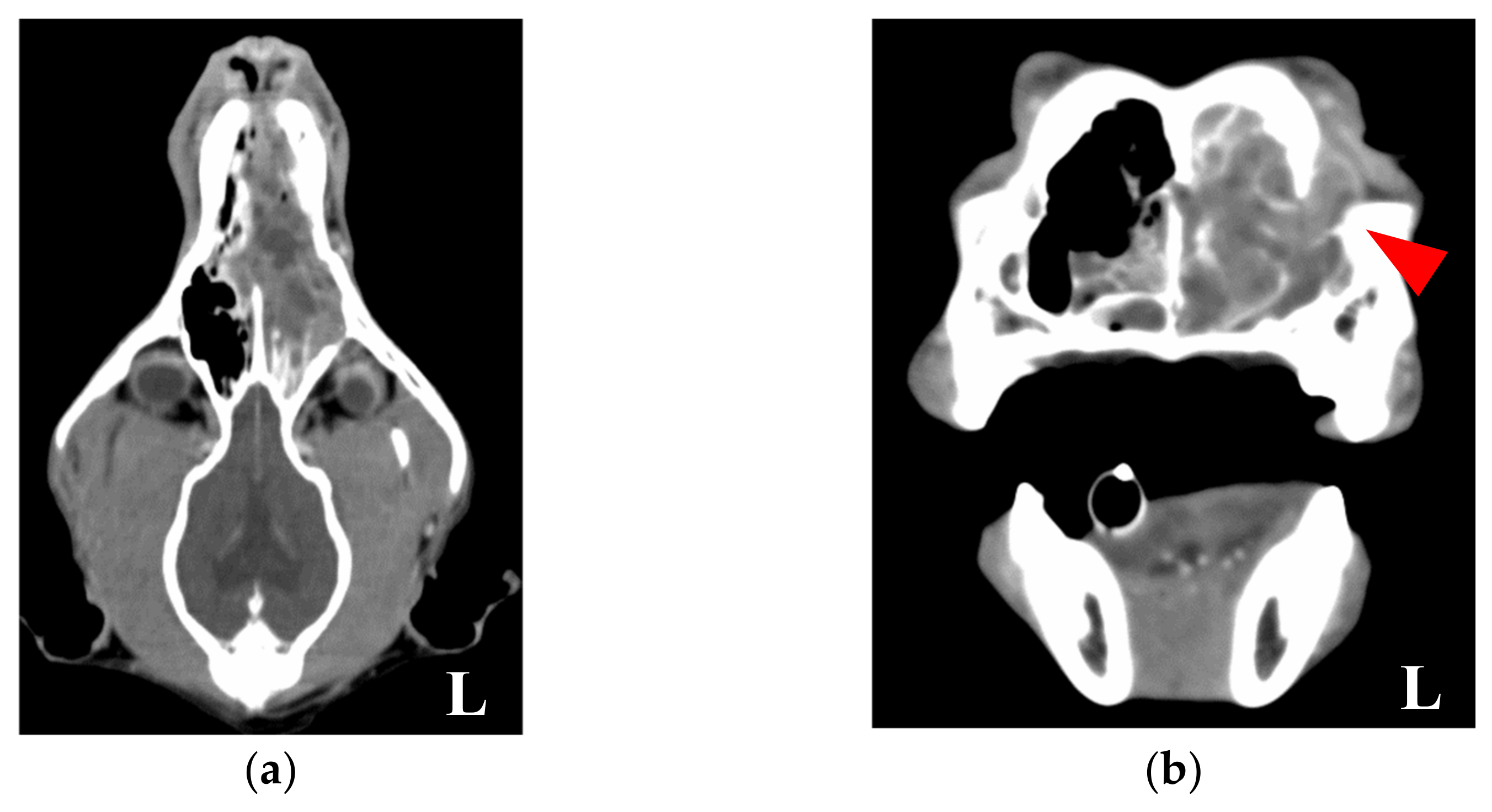 Animals 11 02496 g001