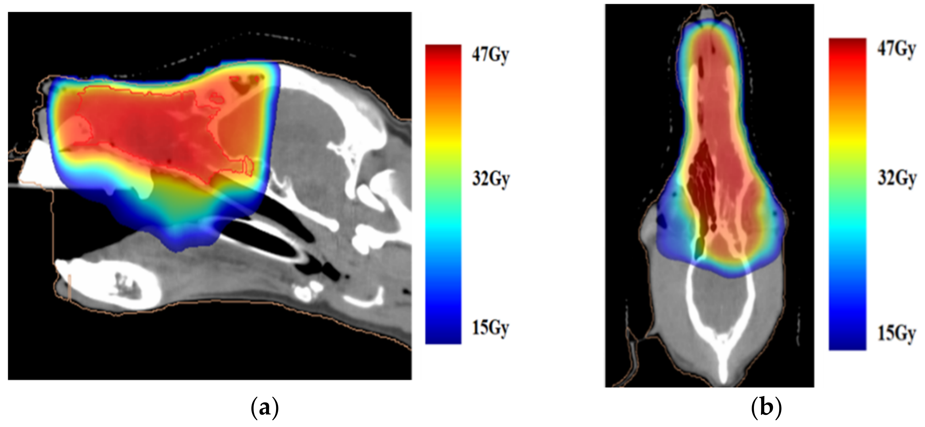 Animals 11 02496 g002