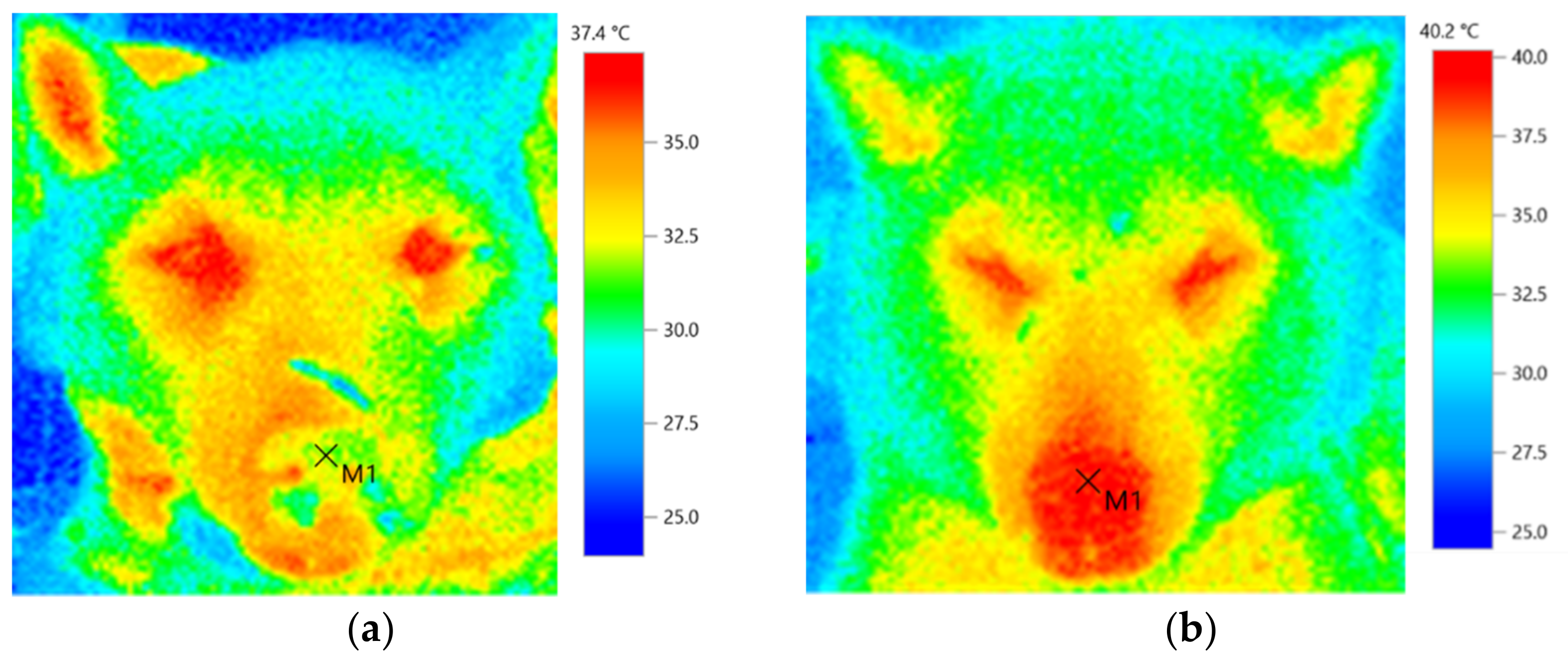 Animals 11 02496 g004