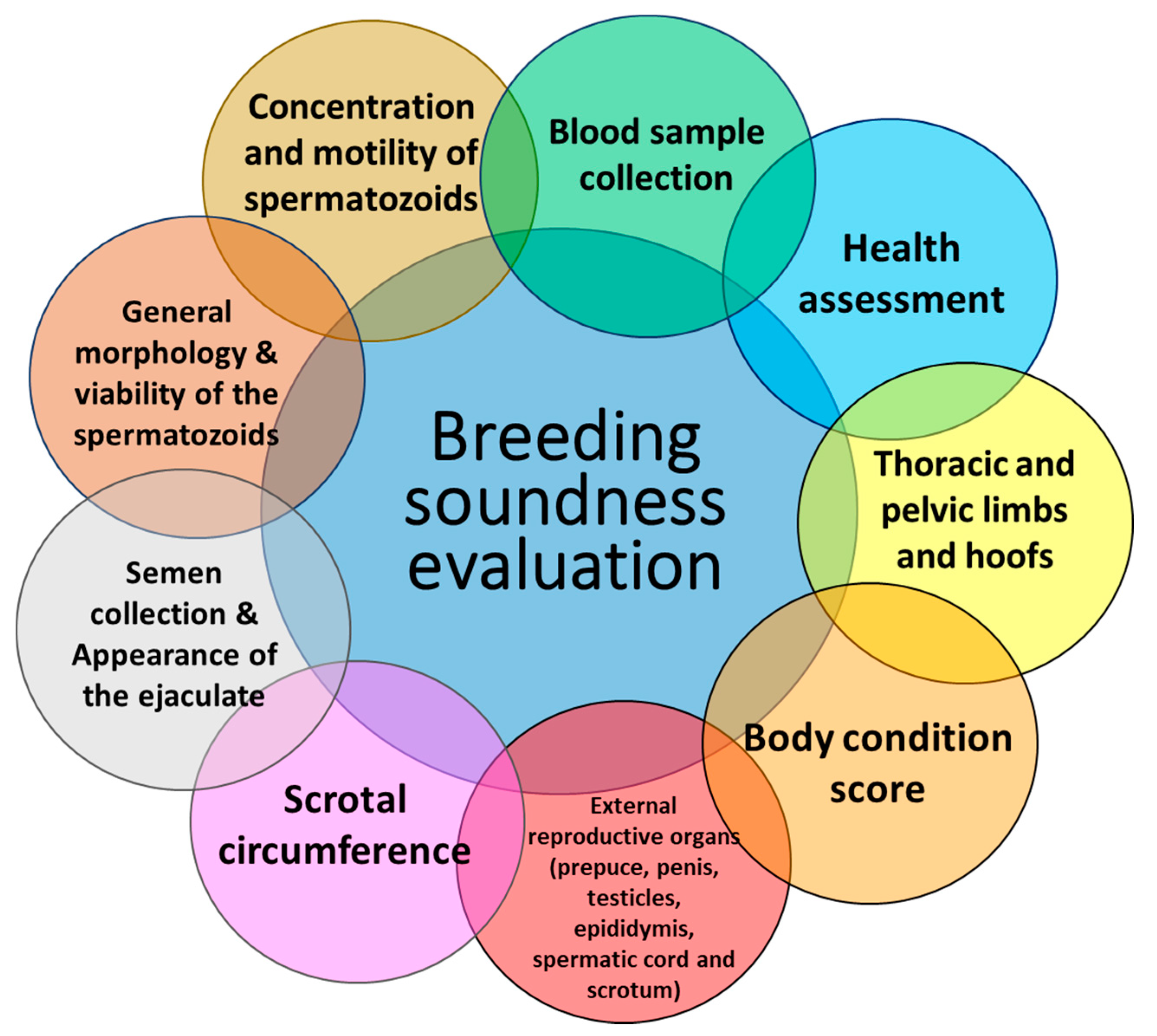 Animals 11 02503 g001 550