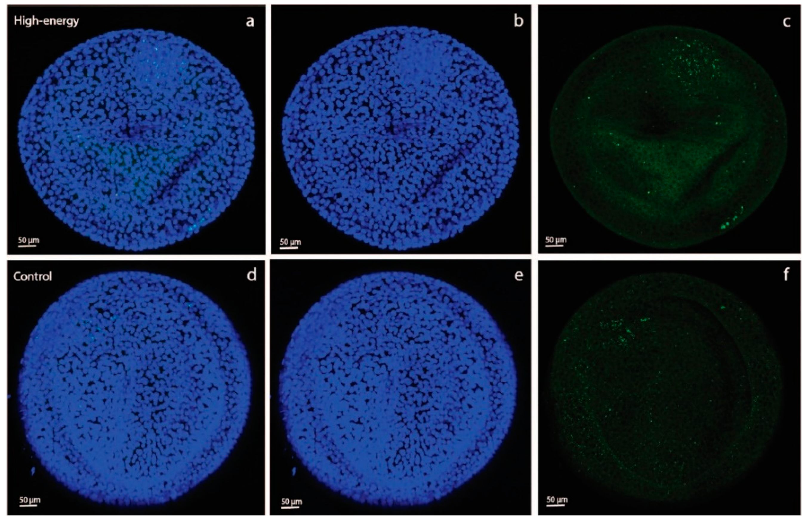 Animals 11 02504 g003