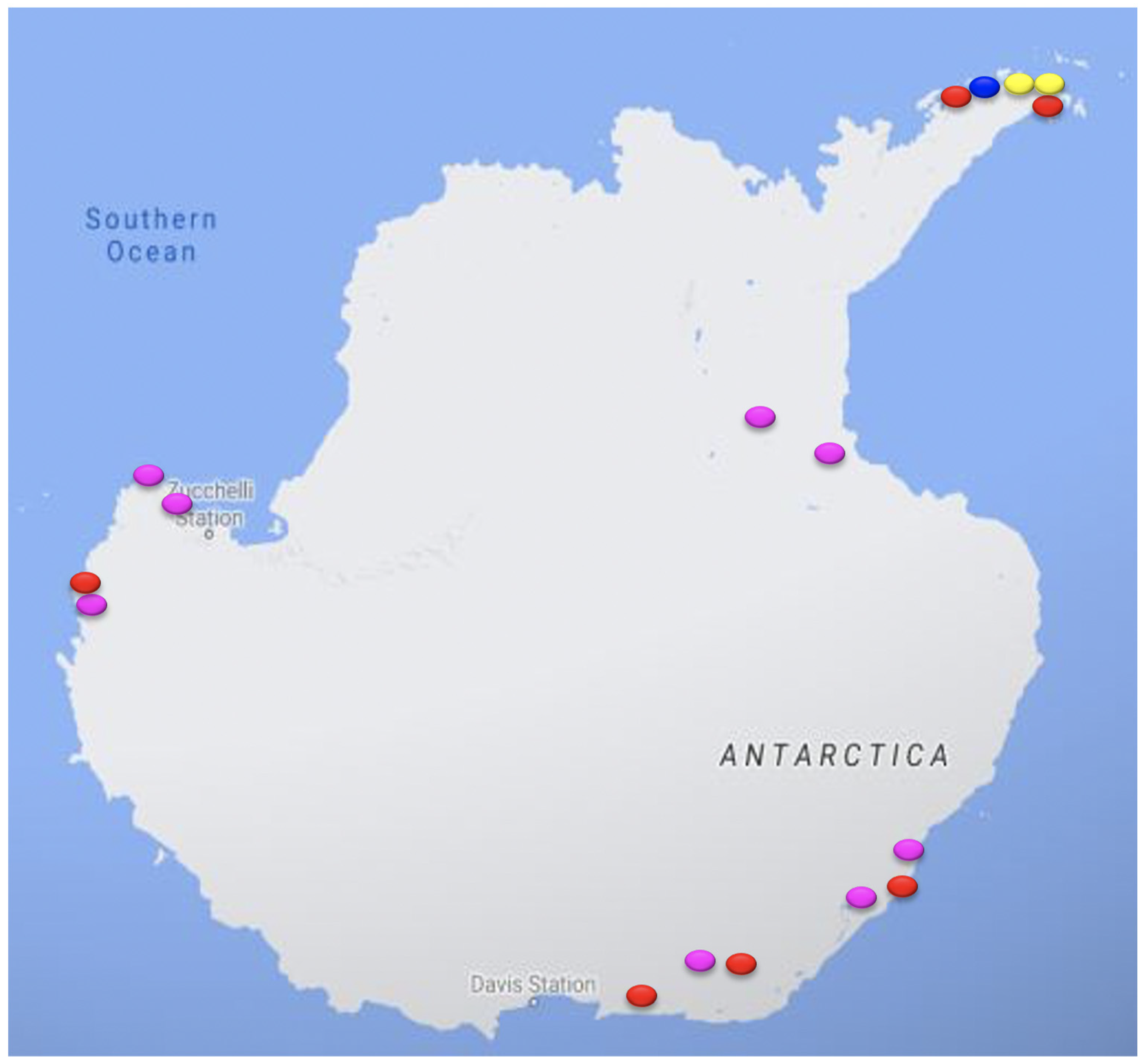 Animals 11 02505 g002