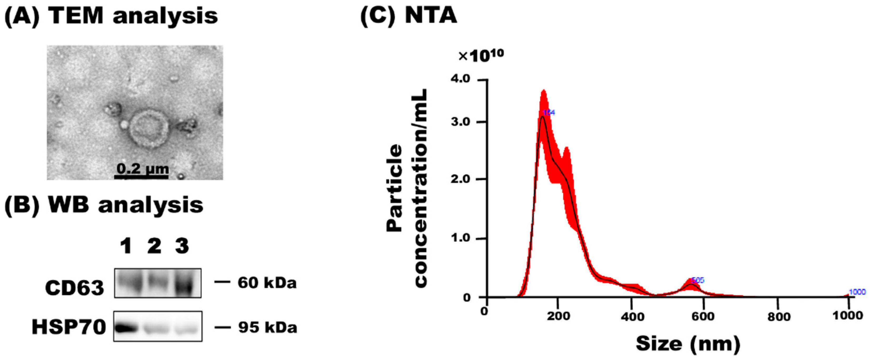 Animals 11 02506 g001