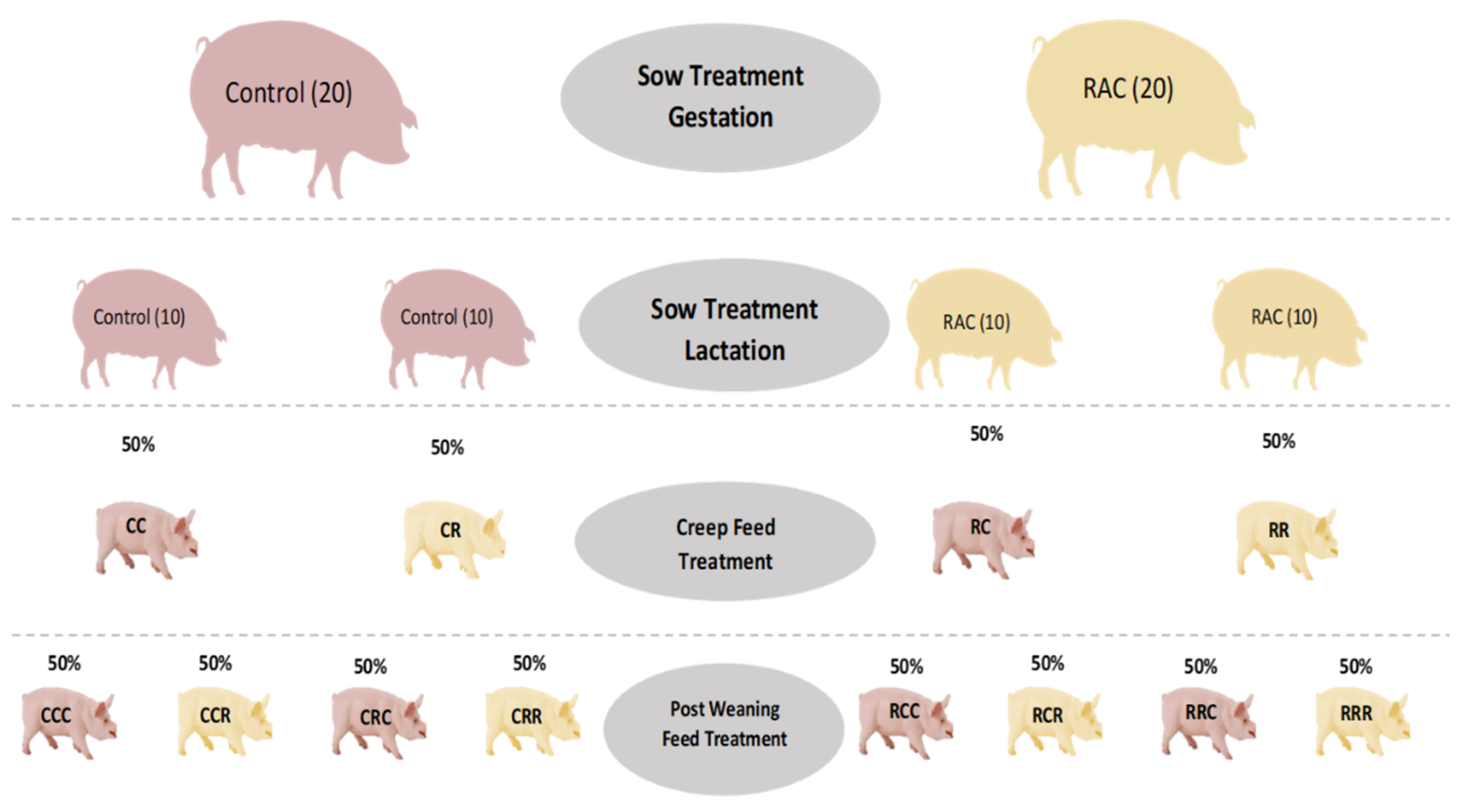 Animals 11 02511 g001 550