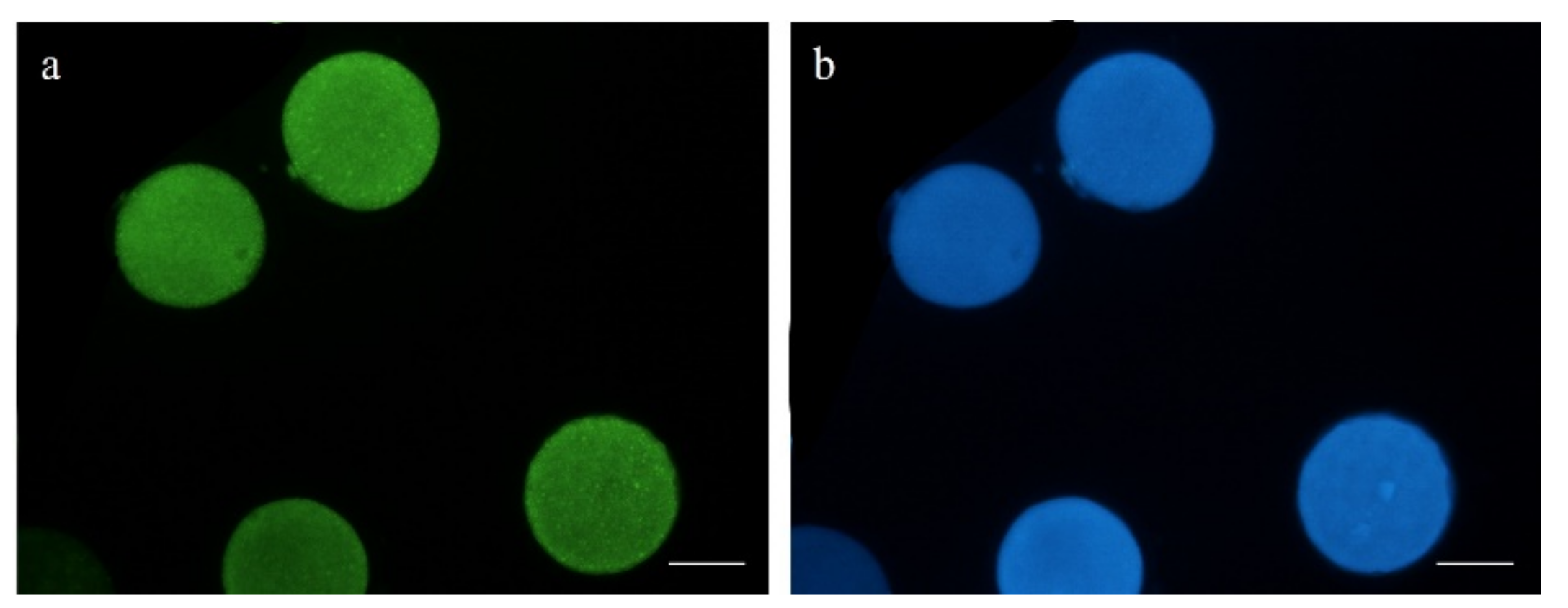 Animals 11 02512 g003 550