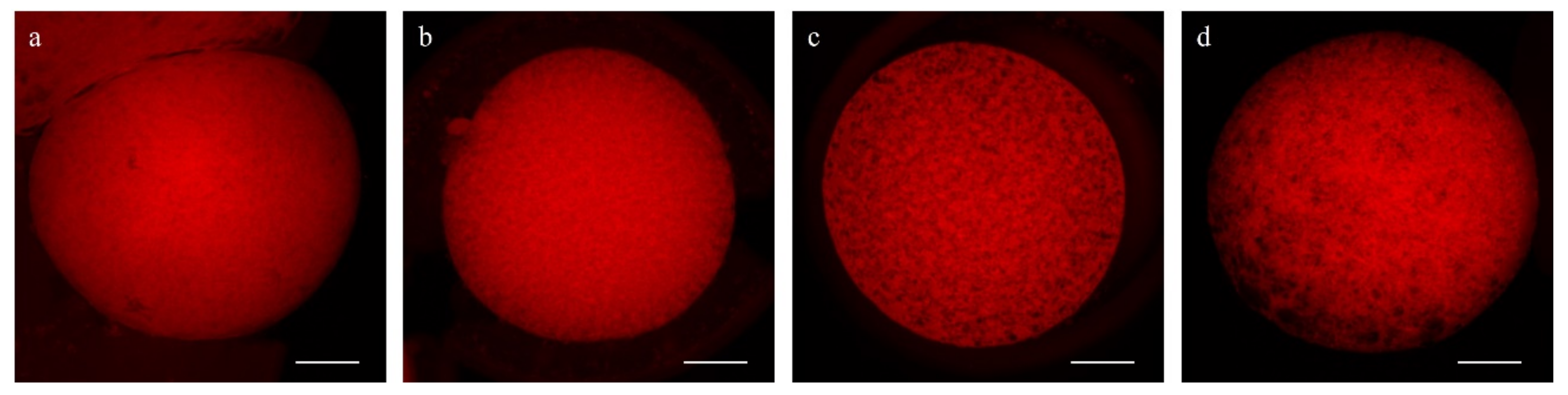 Animals 11 02512 g004 550