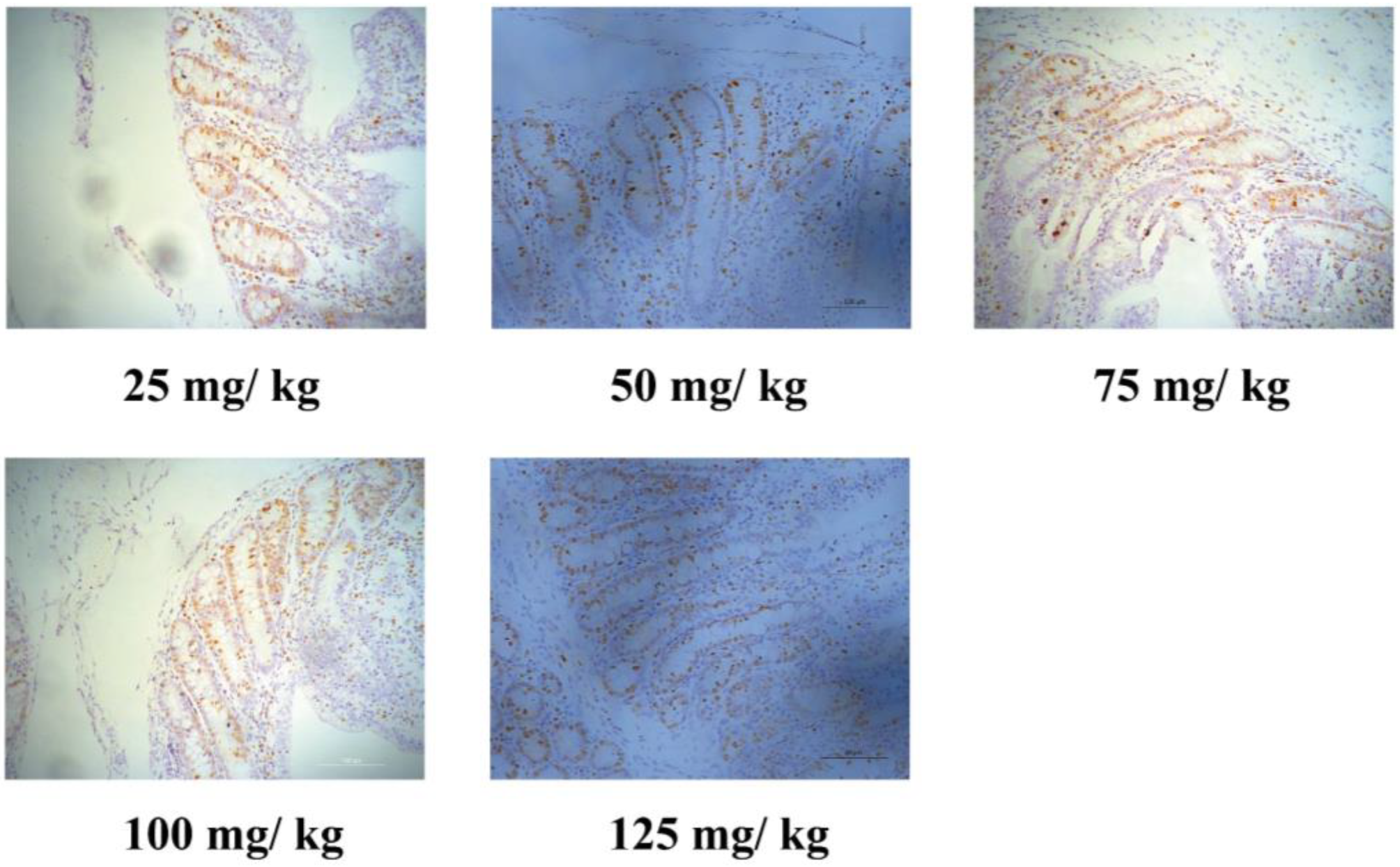 Animals 11 02513 g001