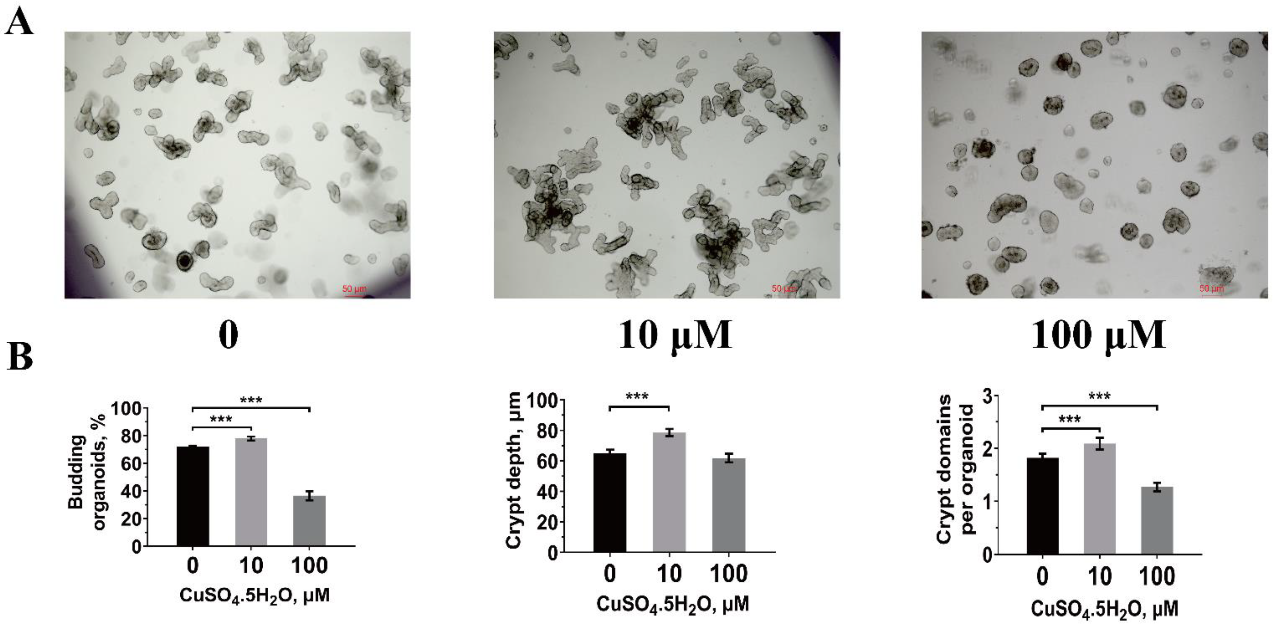 Animals 11 02513 g002