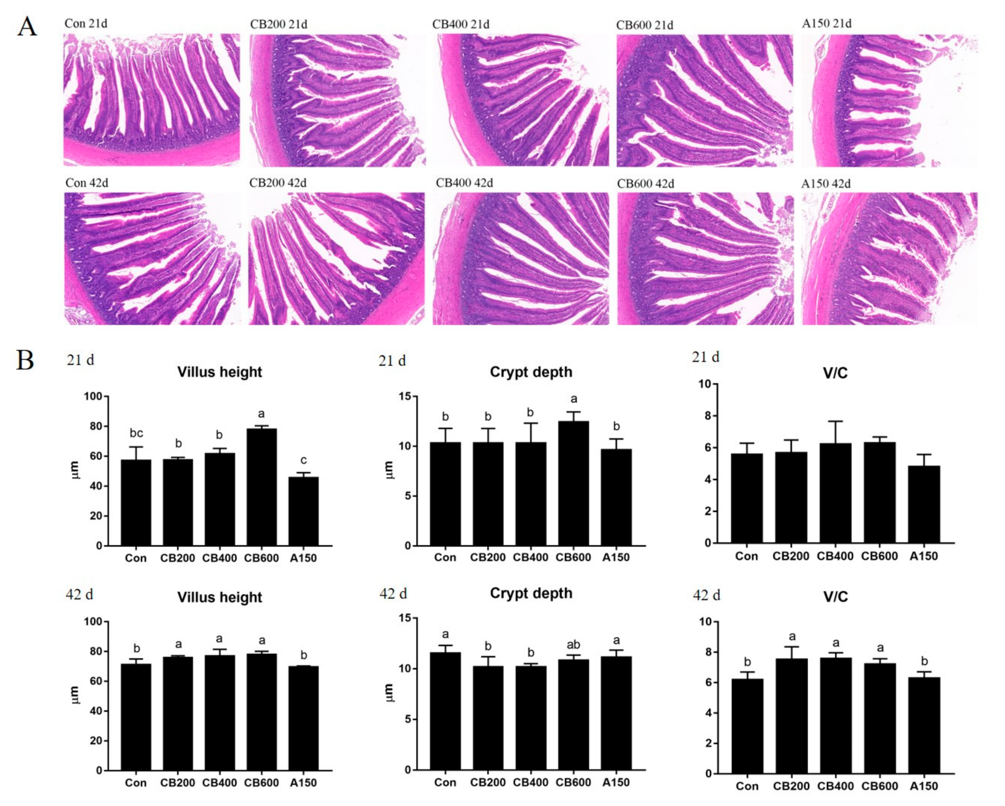 Animals 11 02514 g002 550