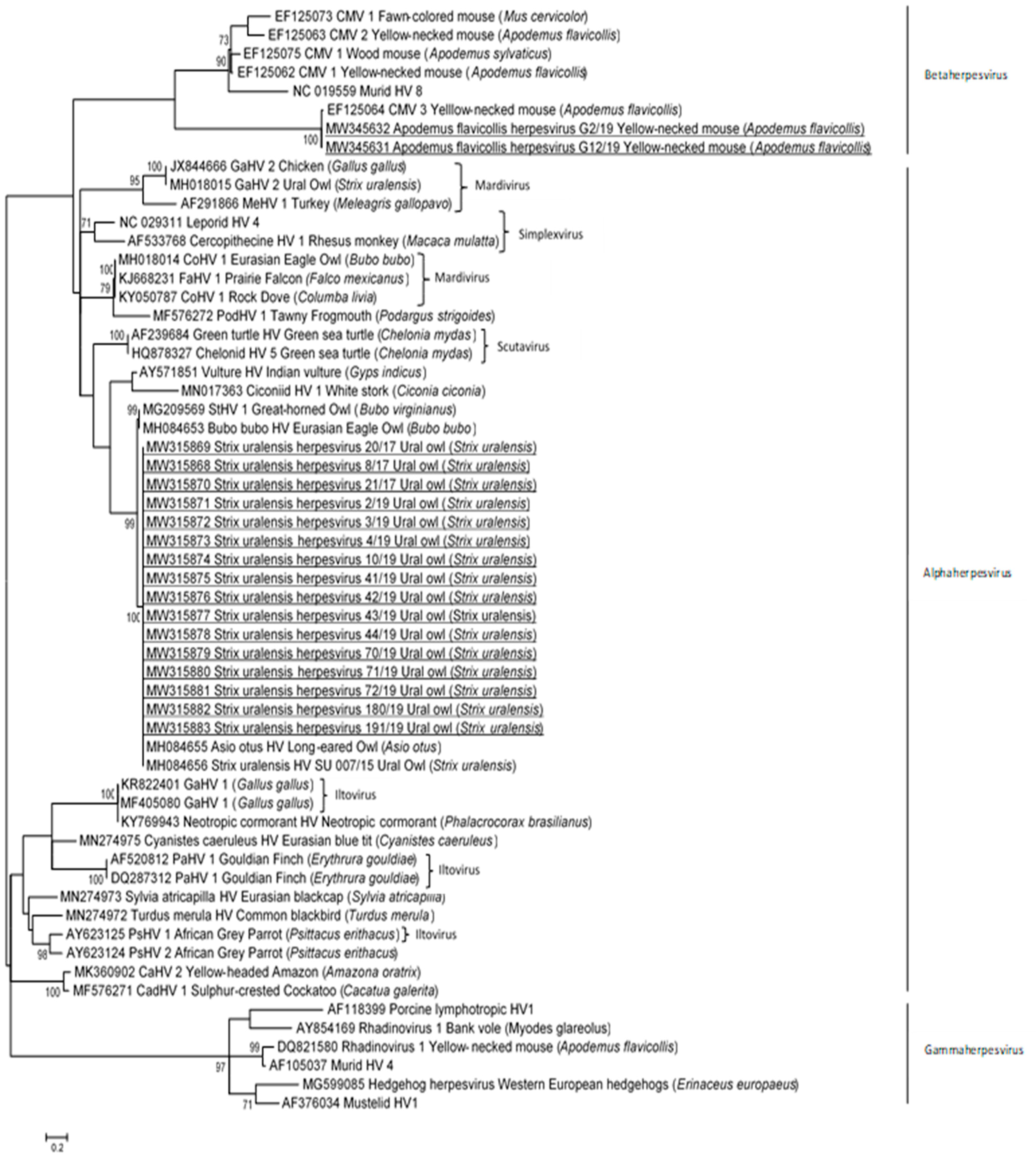 Animals 11 02519 g001 Animals 11 02519 g001