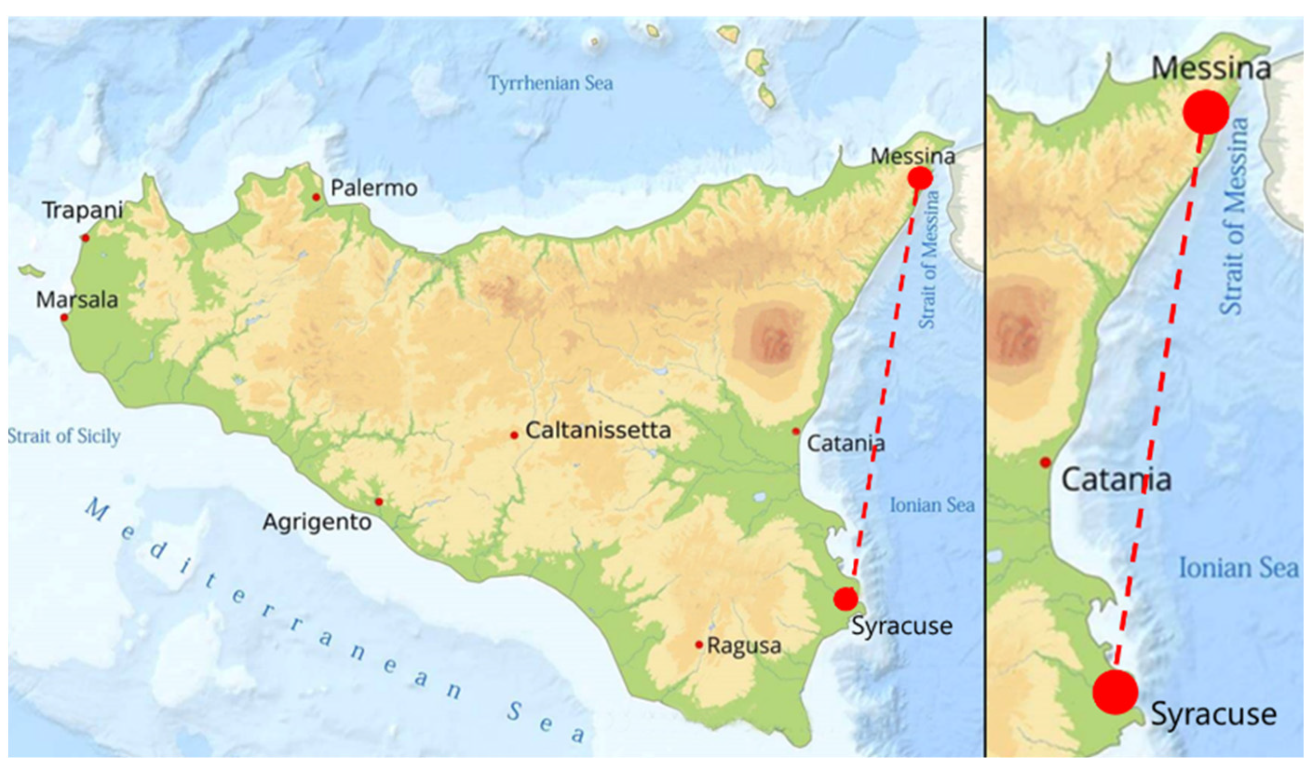 Morphological and molecular study of Didymodiclinus marginati n