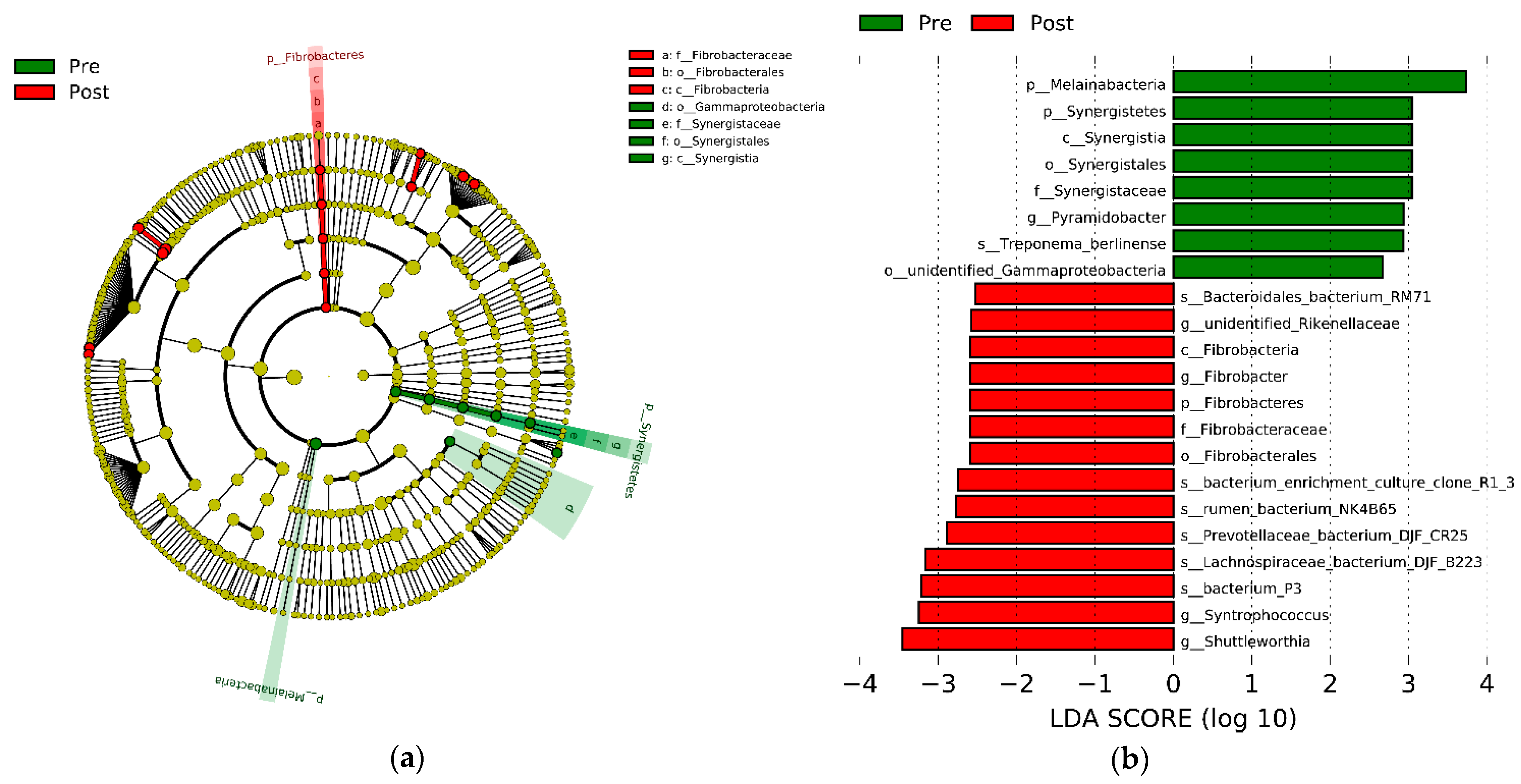 Animals 11 02527 g003 Animals 11 02527 g003