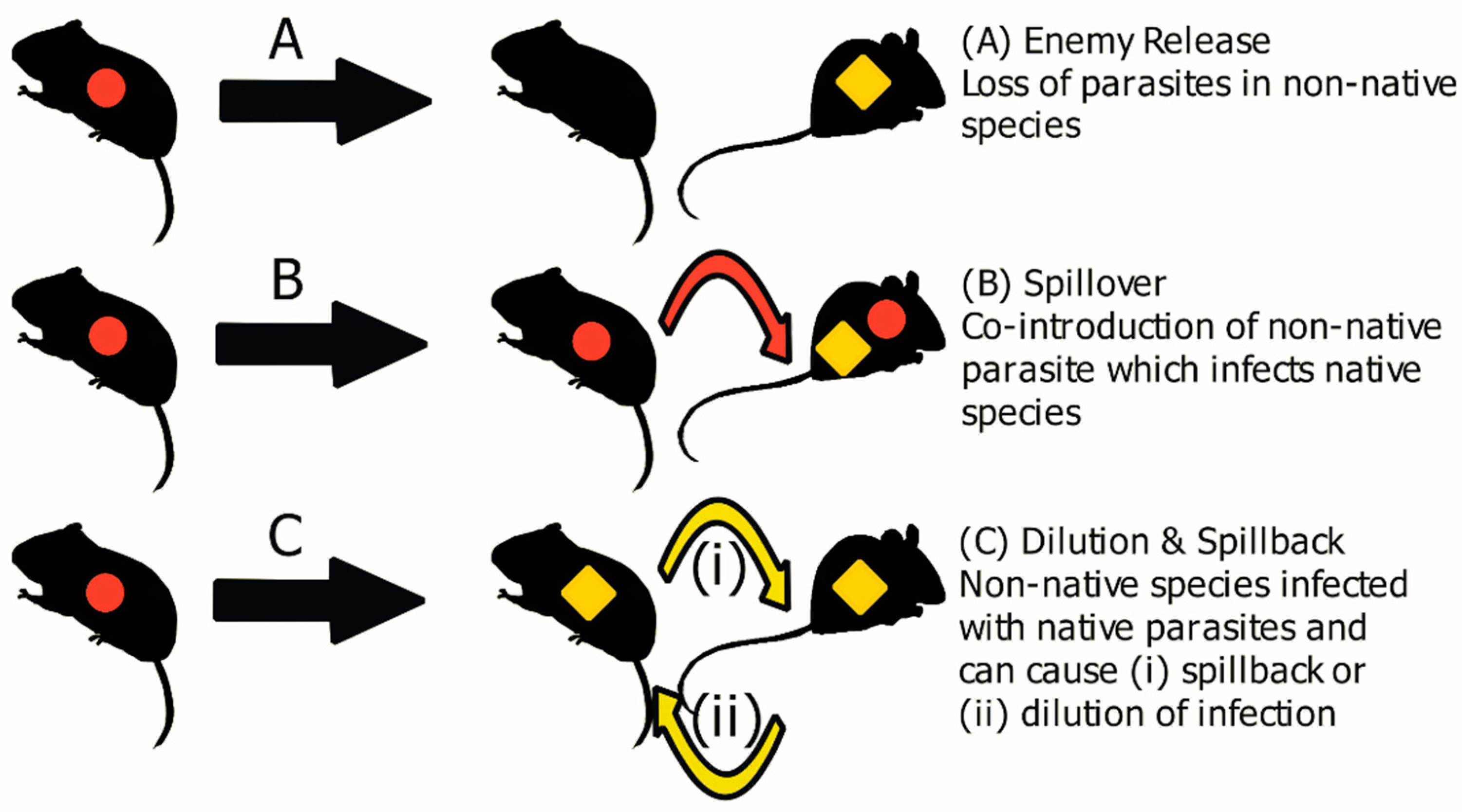 Animals 11 02529 g001