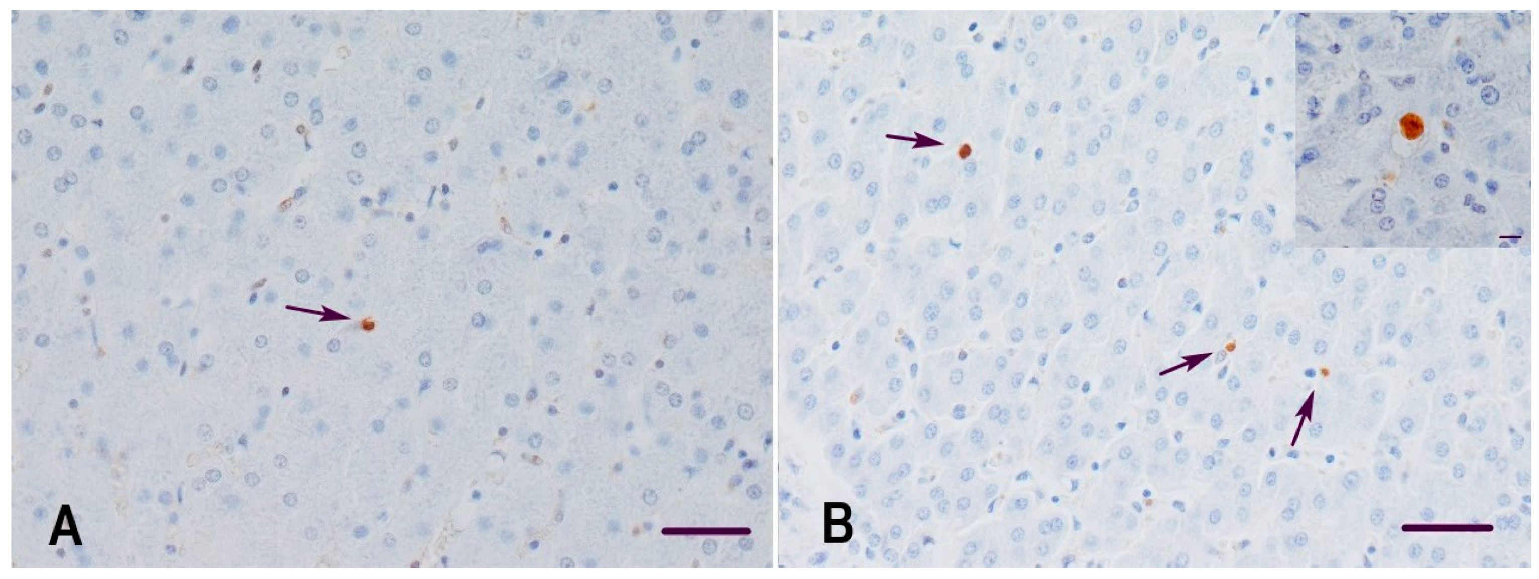 Animals 11 02534 g002 Animals 11 02534 g002