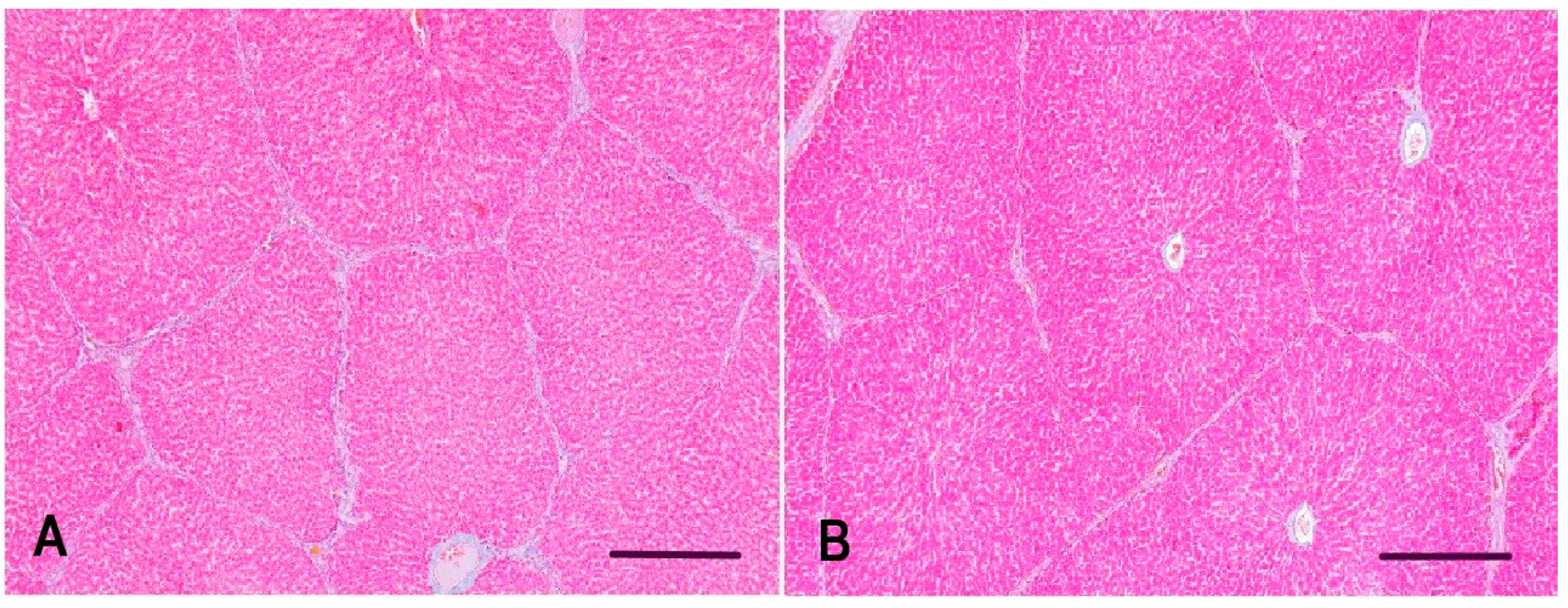 Animals 11 02534 g003 Animals 11 02534 g003