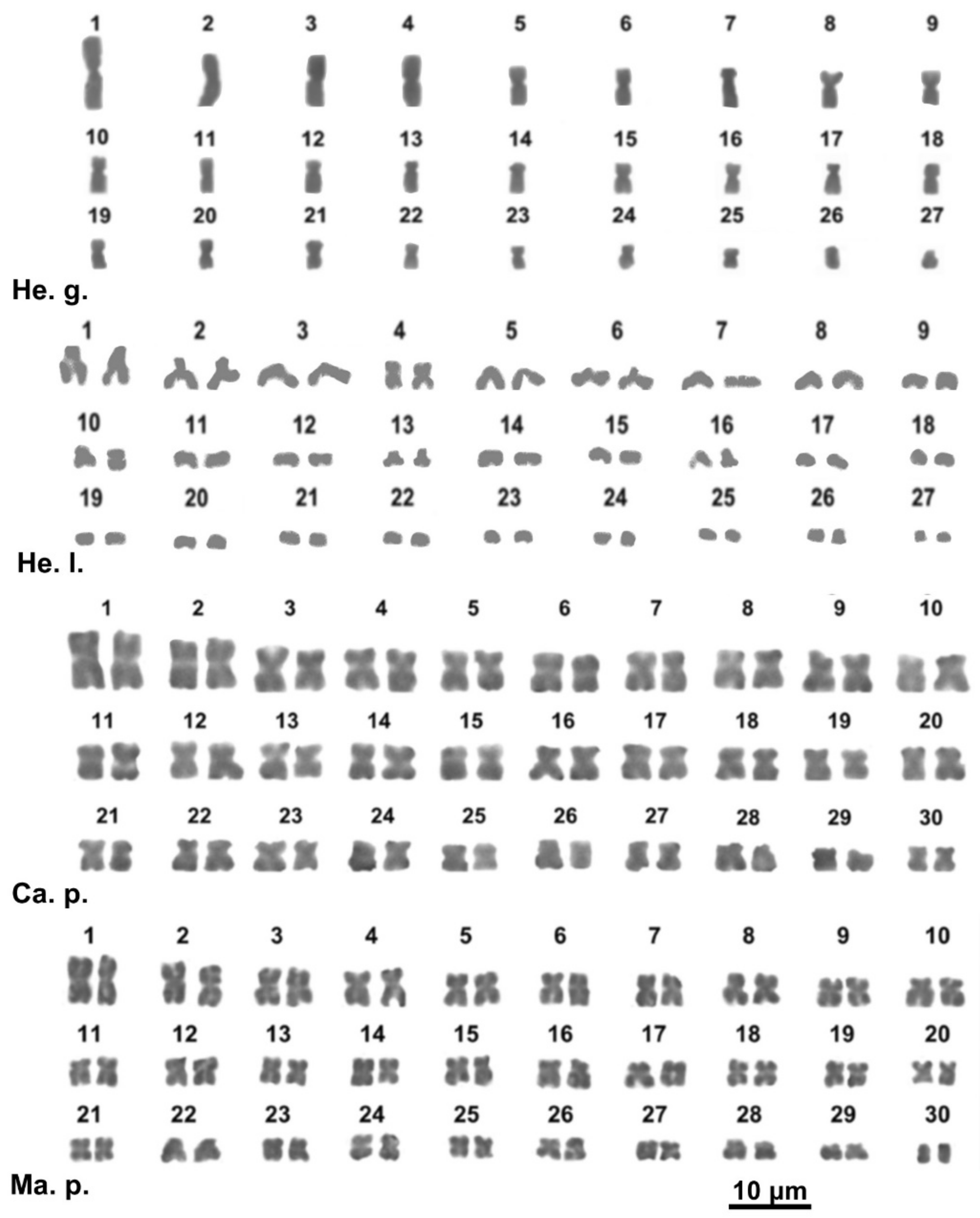 Animals 11 02551 g003