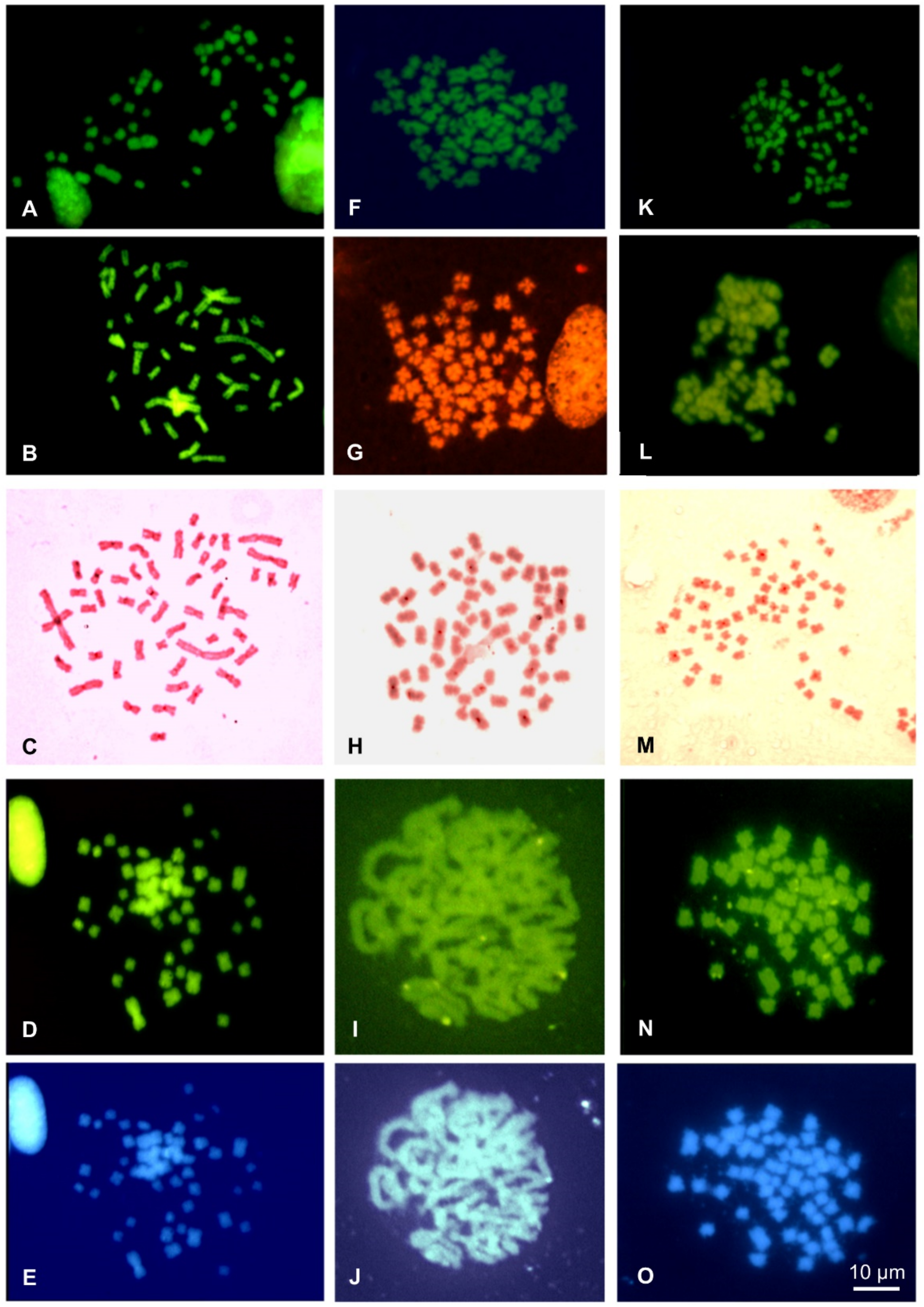 Animals 11 02551 g005