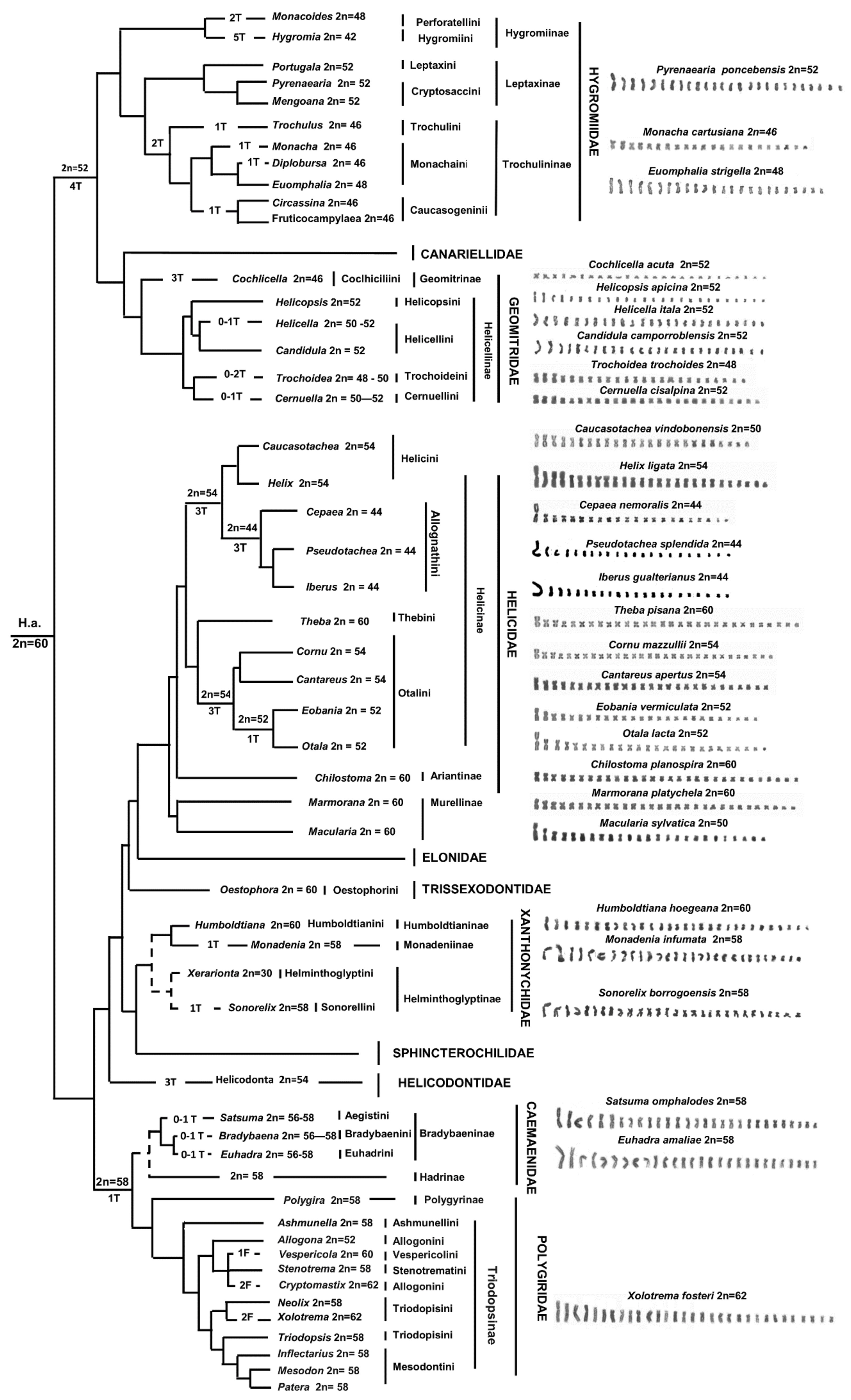 Animals 11 02551 g006