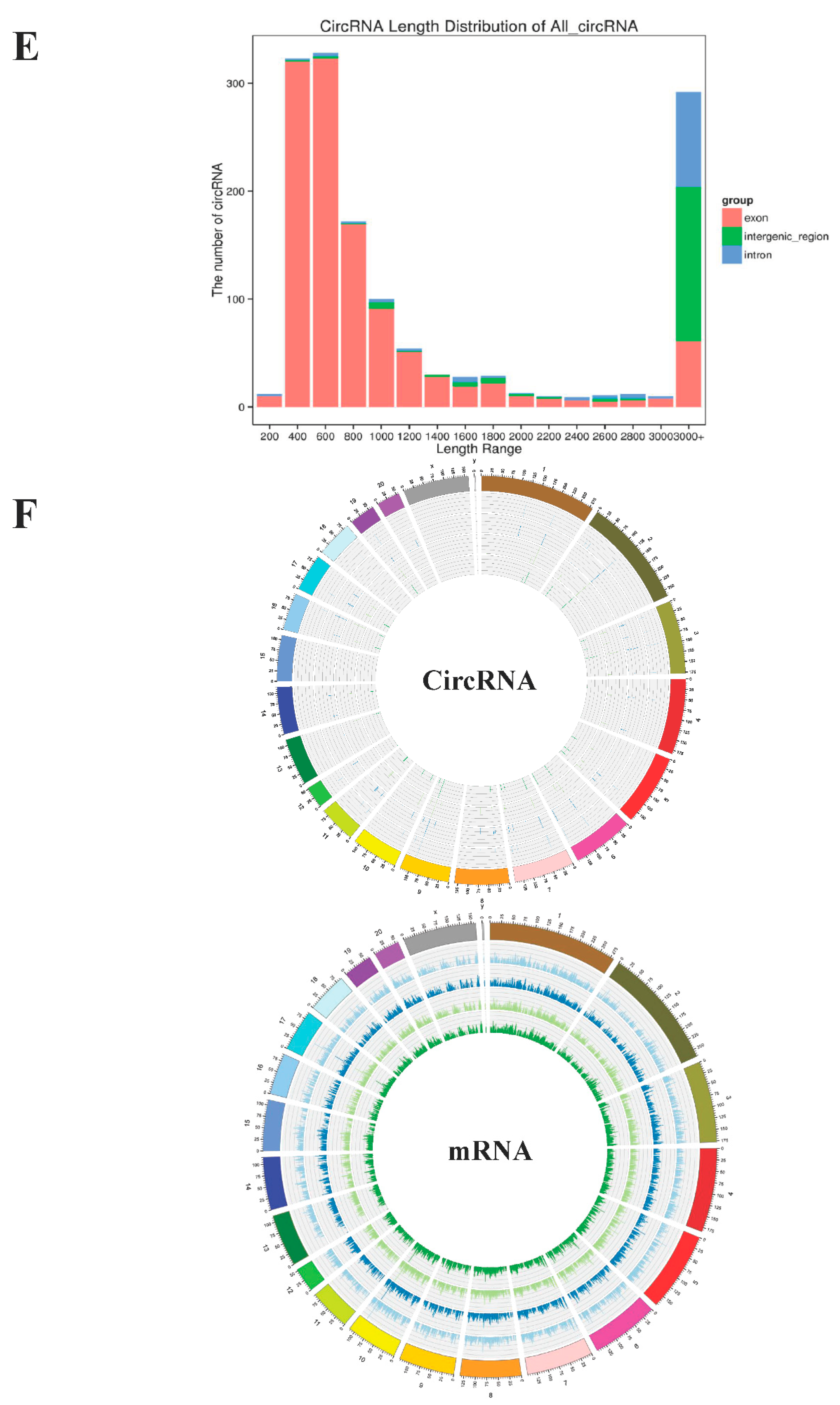 Animals 11 02557 g002b Animals 11 02557 g002b