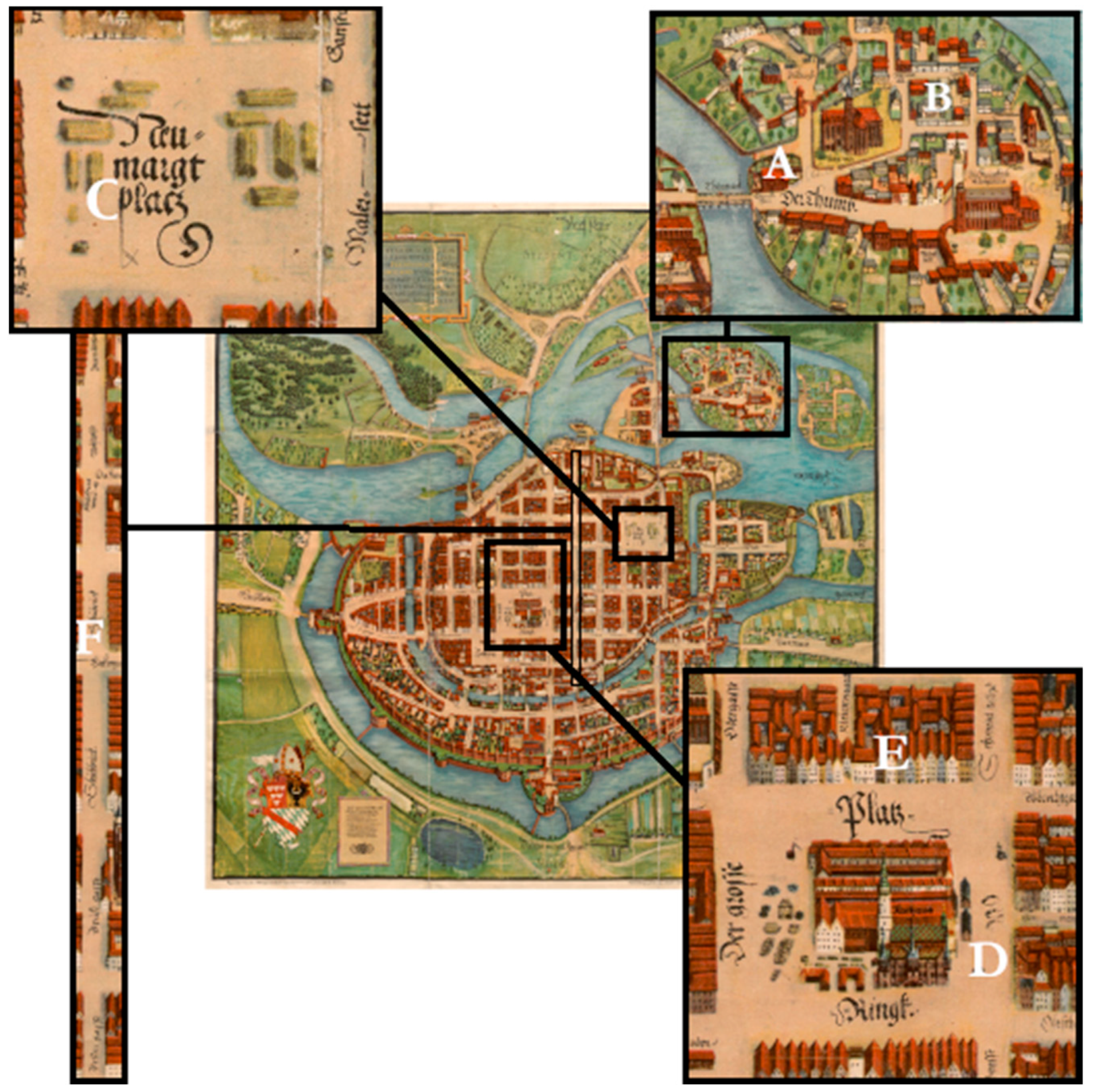 Animals 11 02562 g001 550