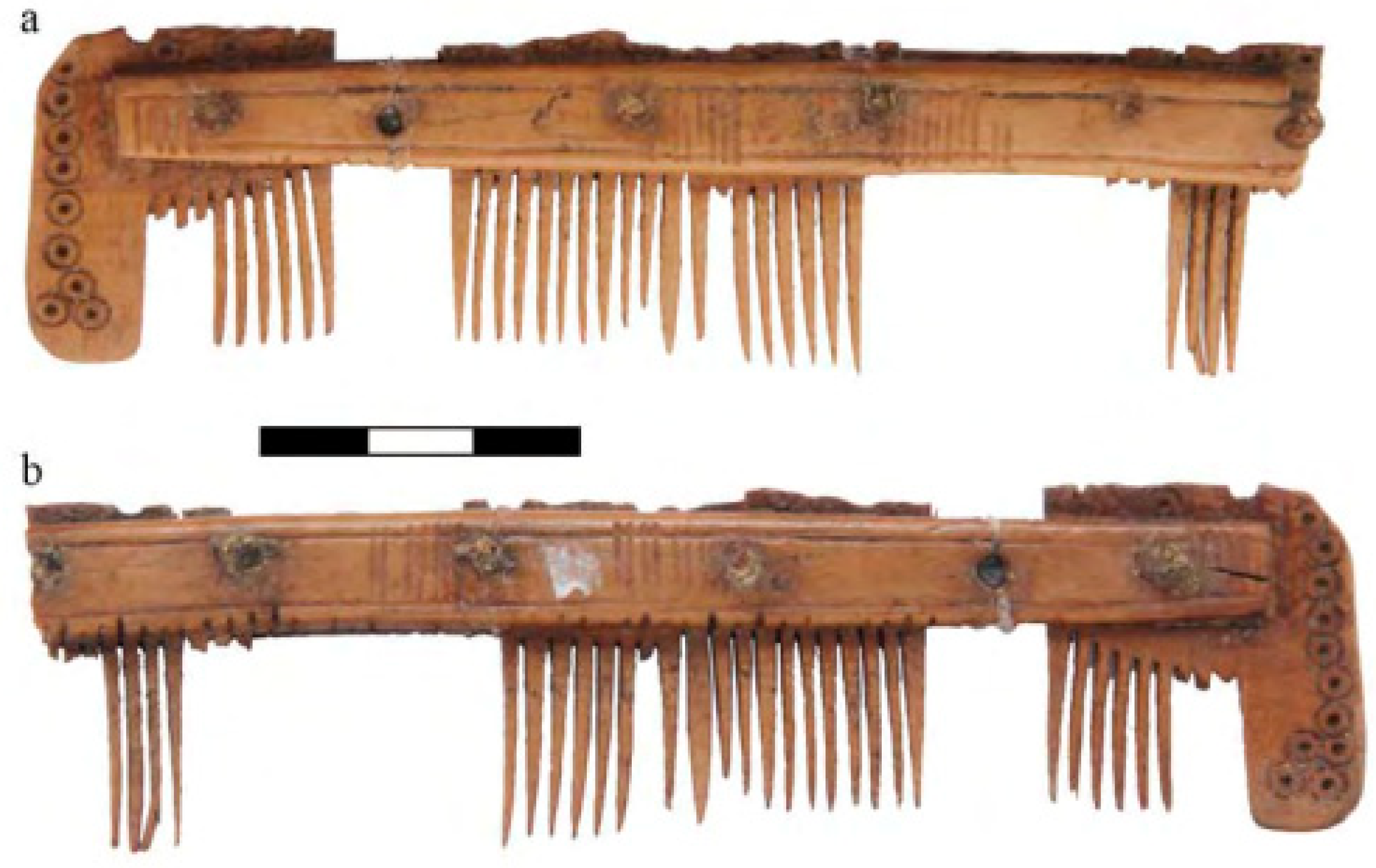 Animals 11 02562 g004 550