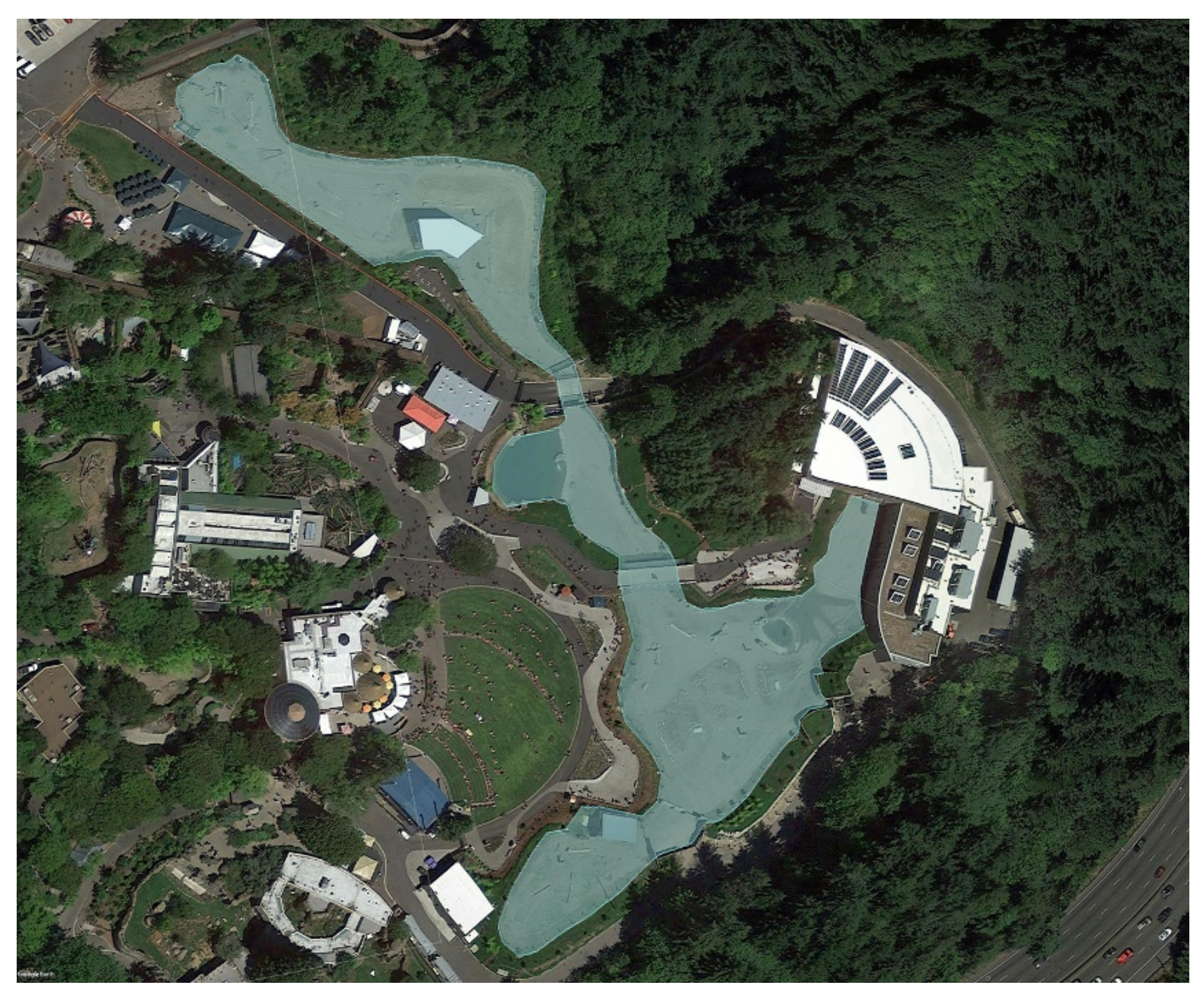 Animals 11 02566 g002 Animals 11 02566 g002