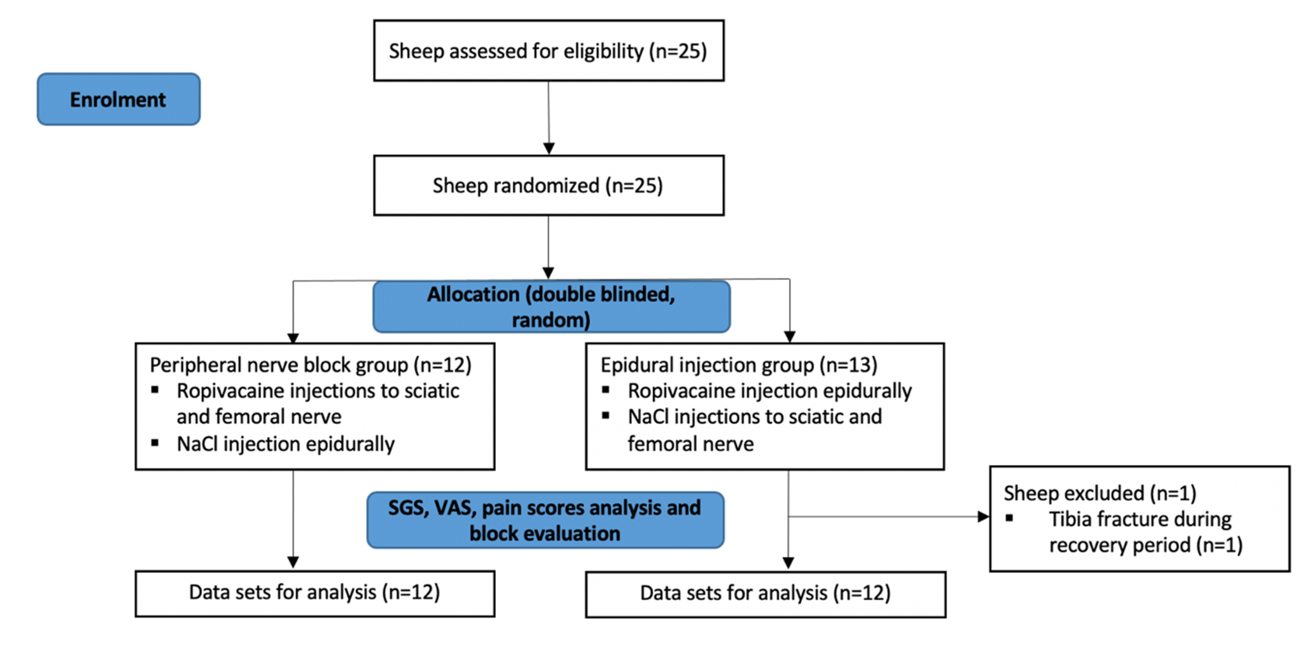 Animals 11 02567 g005