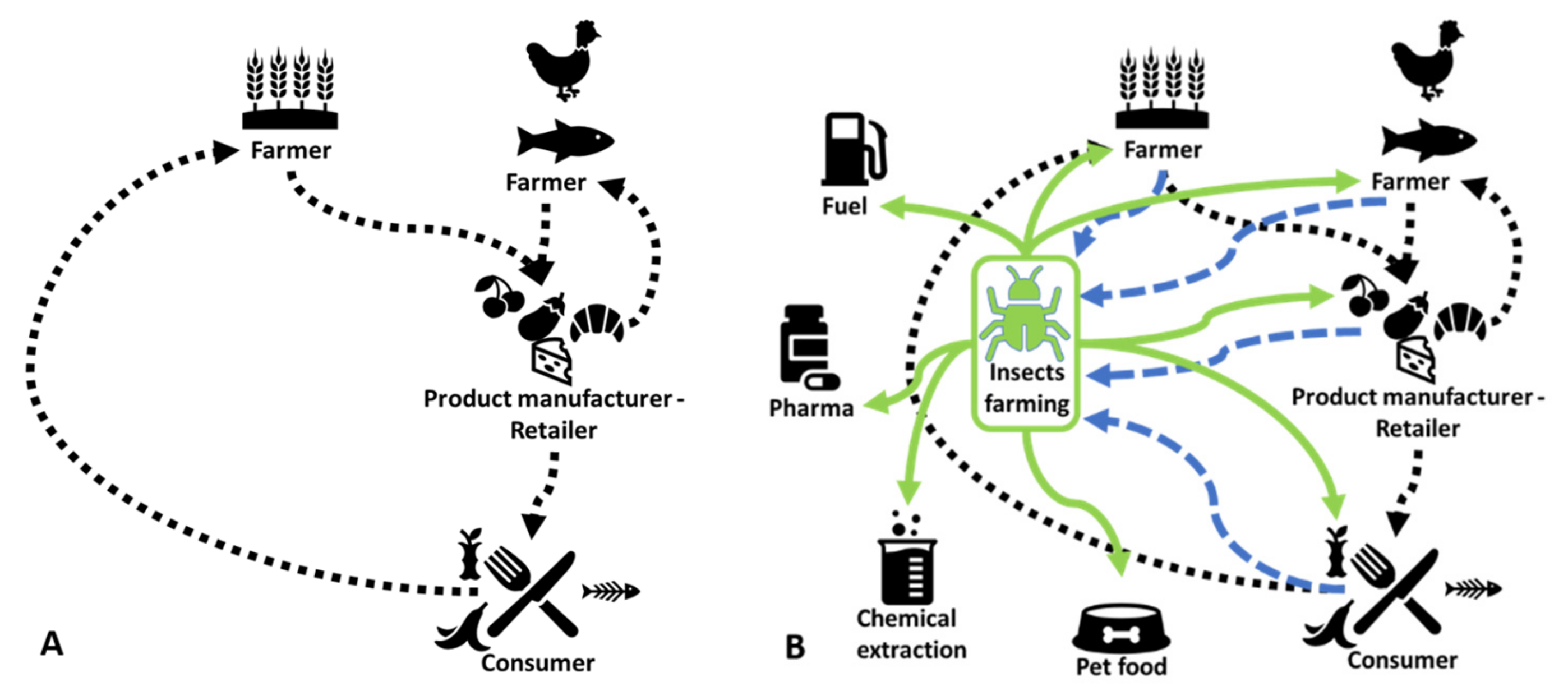 Animals 11 02568 g001