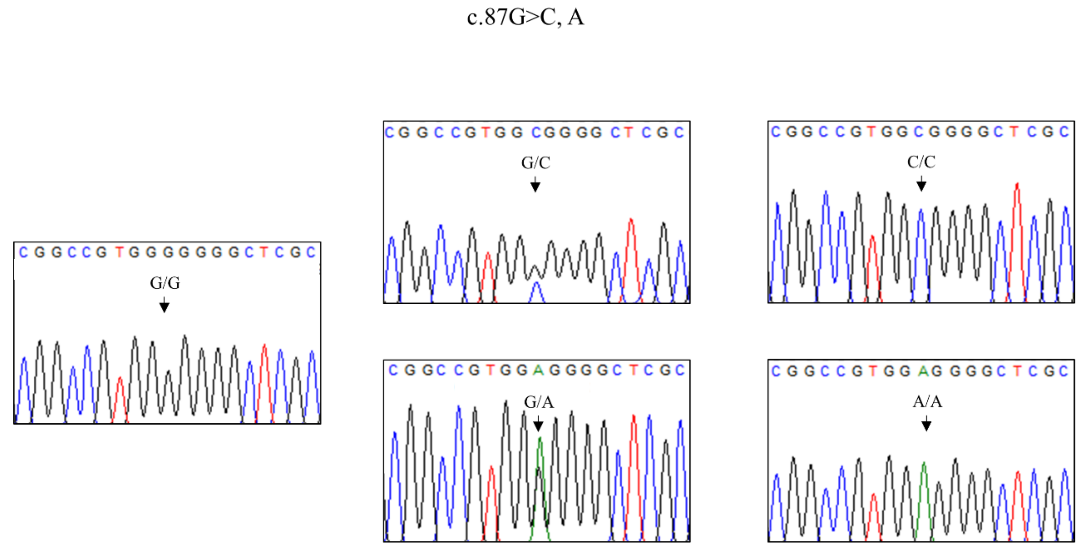 Animals 11 02574 g001 Animals 11 02574 g001