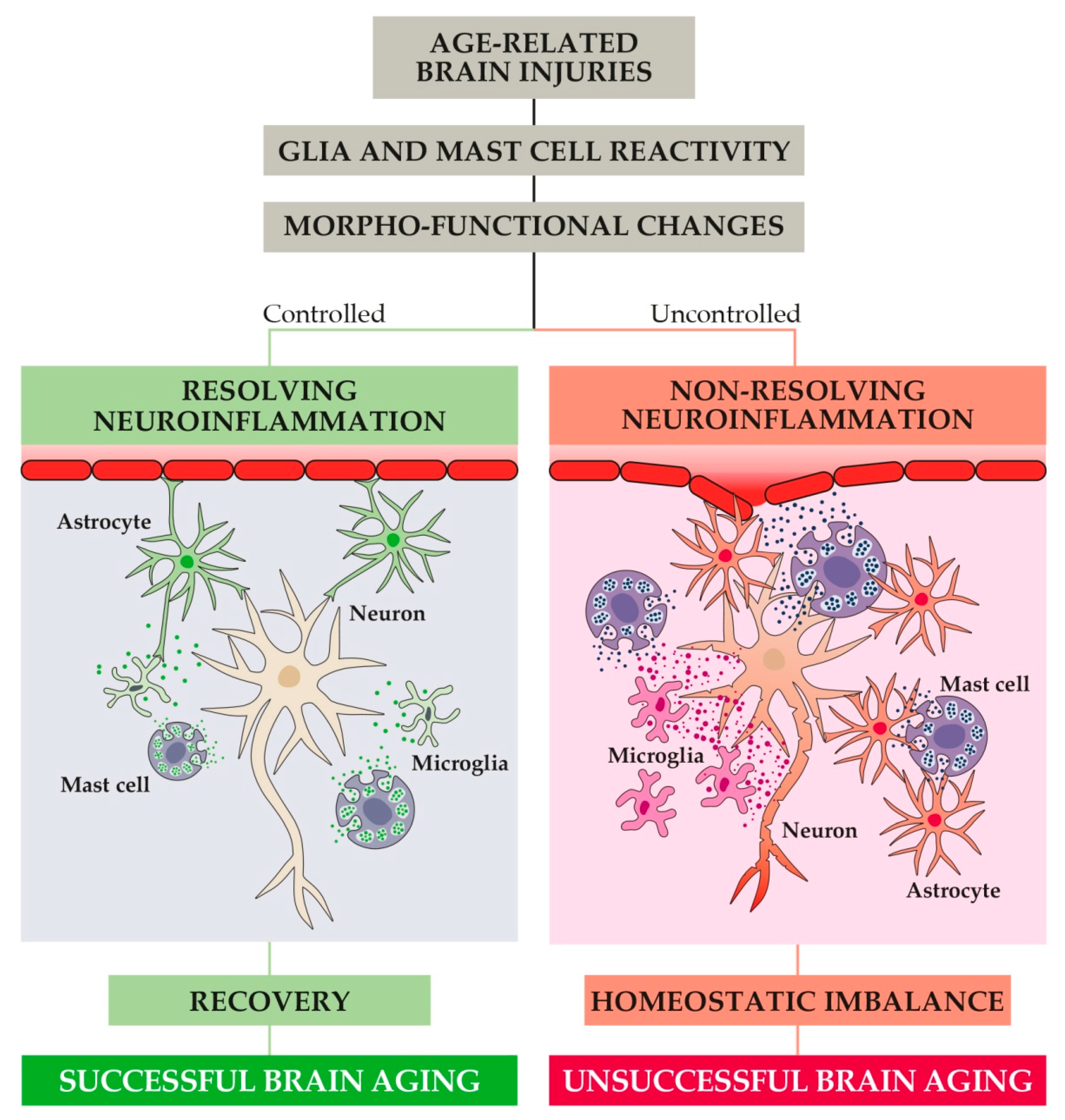 Animals 11 02584 g004 Animals 11 02584 g004