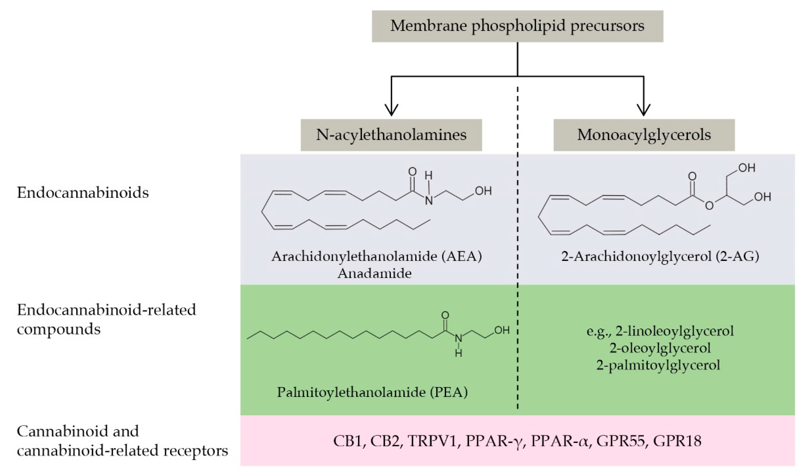 Animals 11 02584 g005 Animals 11 02584 g005